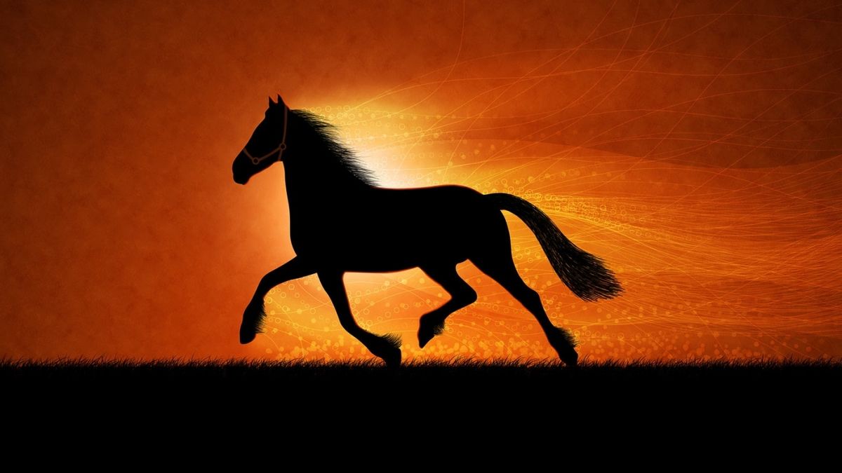 Фоновый рисунок для телефона лошади