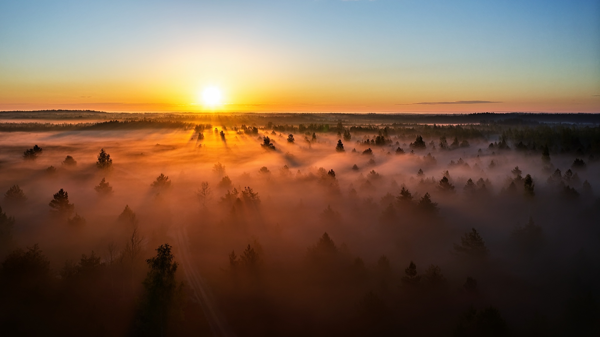 earth, fog, forest, horizon, lithuania, nature, sunset 4K, Ultra HD