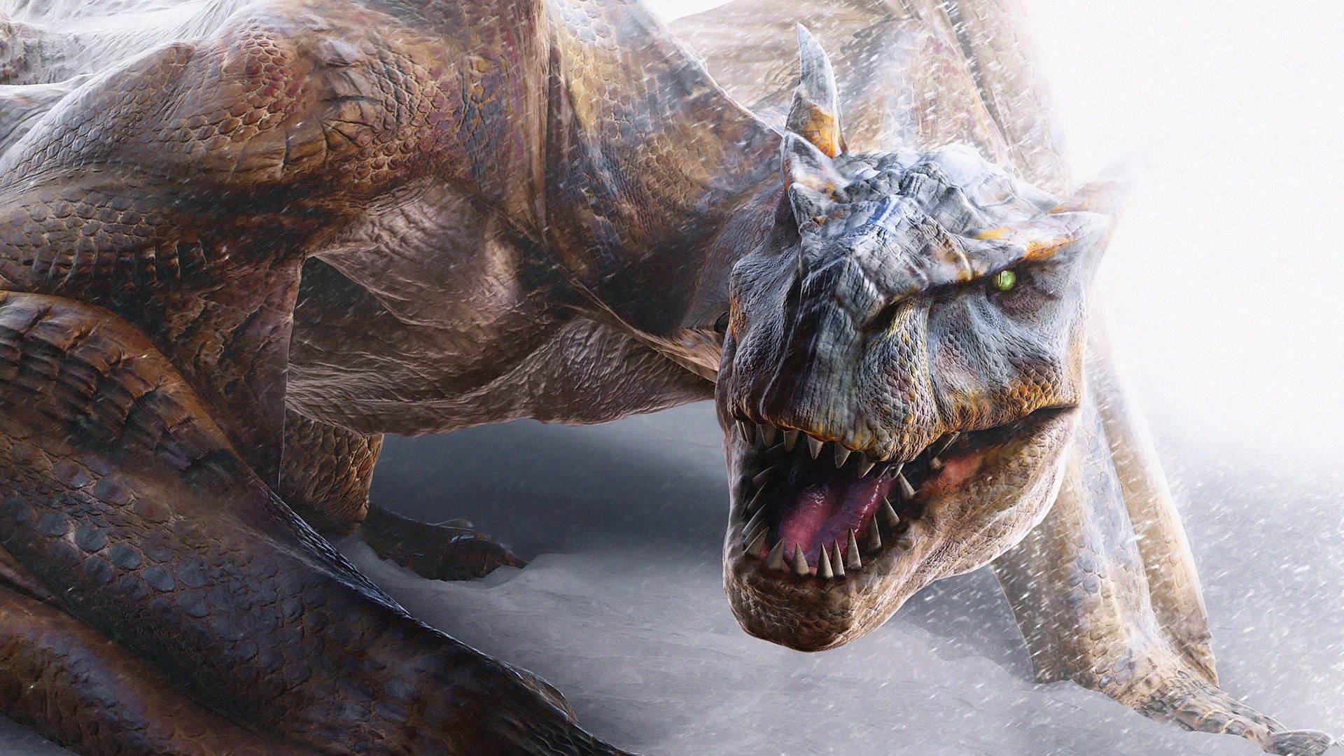 8003 Hintergrundbild herunterladen tiere, dragons, dinosaurs - Bildschirmschoner und Bilder kostenlos