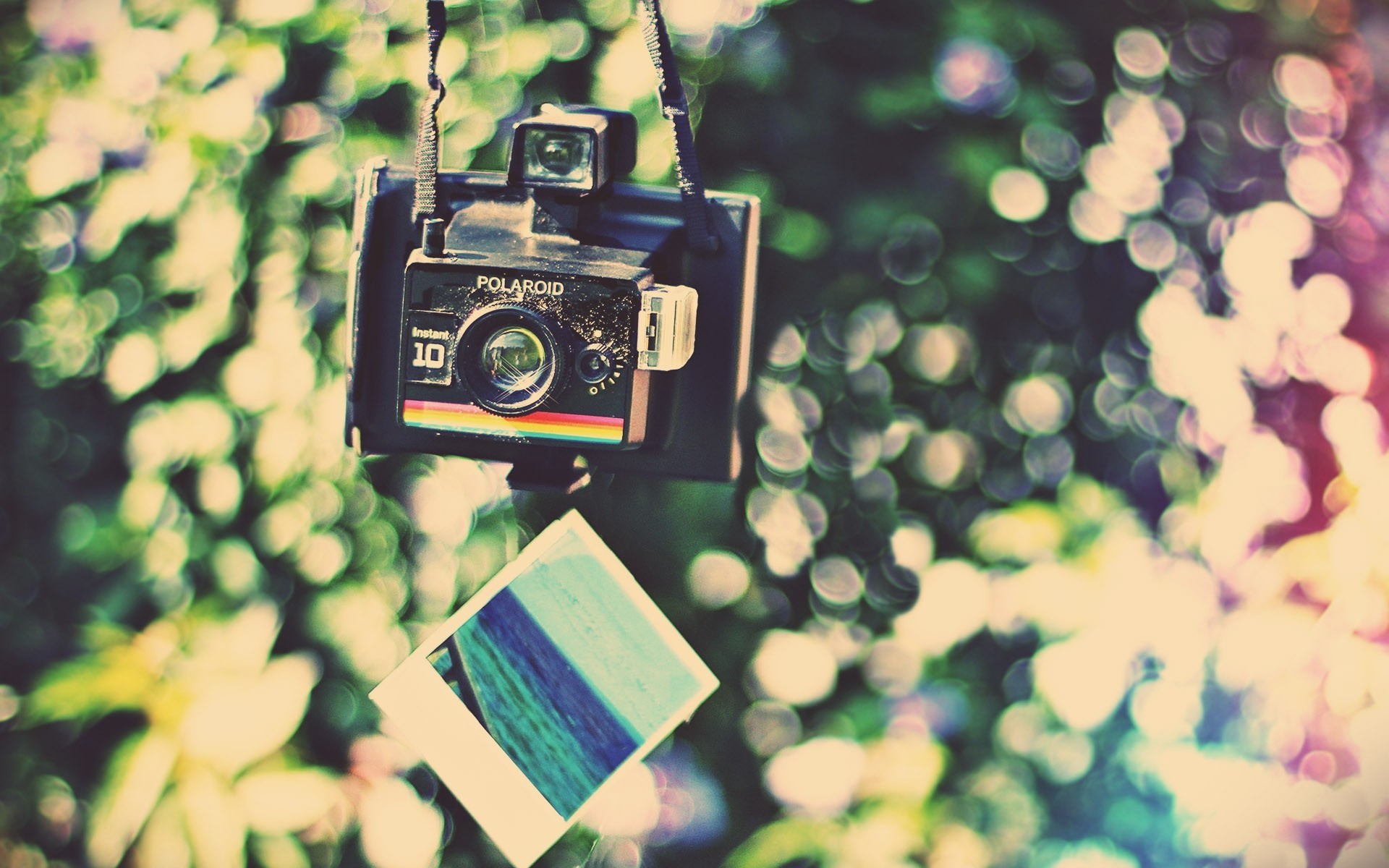 Die besten Polaroid-Hintergründe für den Telefonbildschirm