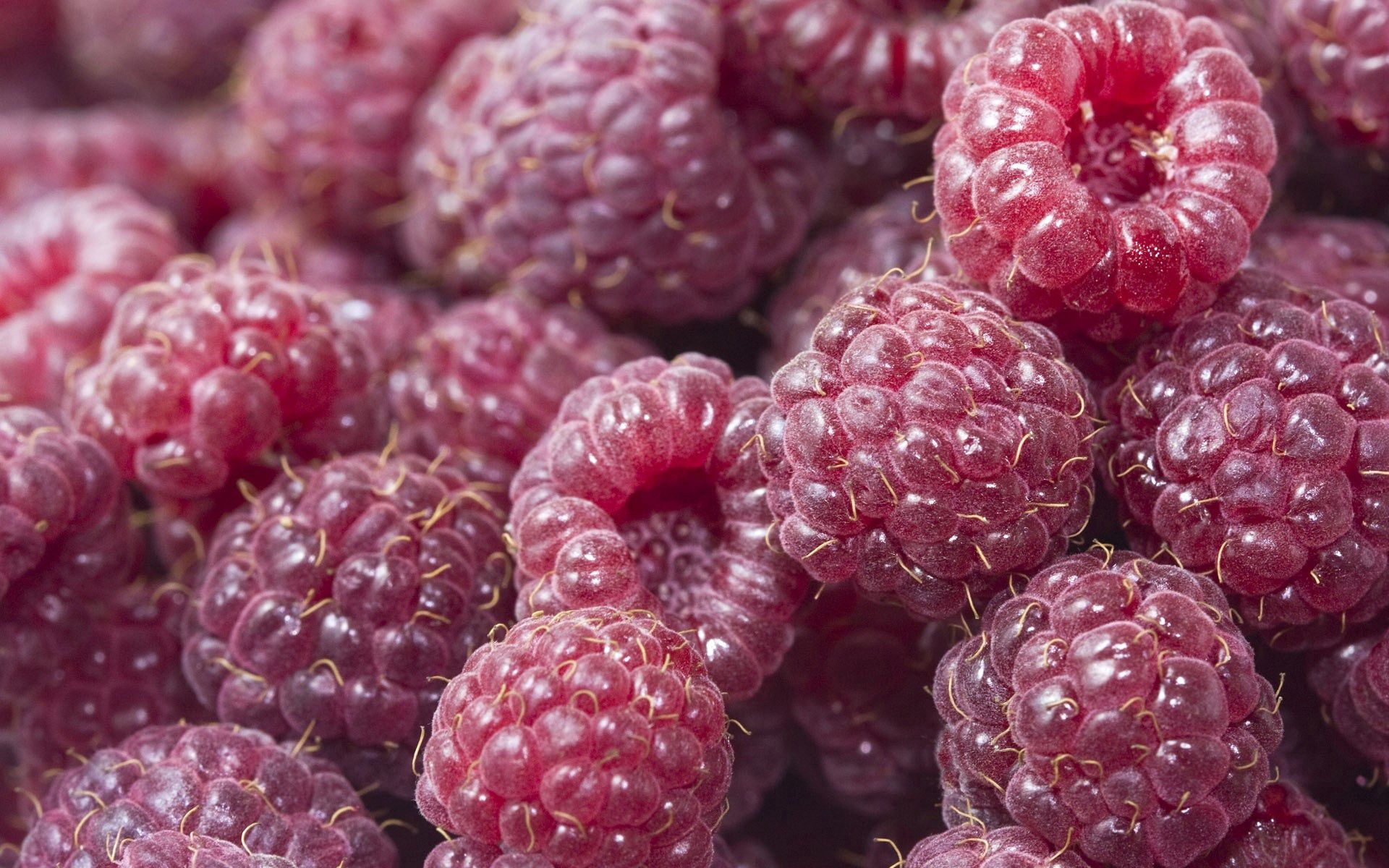 ripe, food, raspberry, sweet, berry Smartphone Background