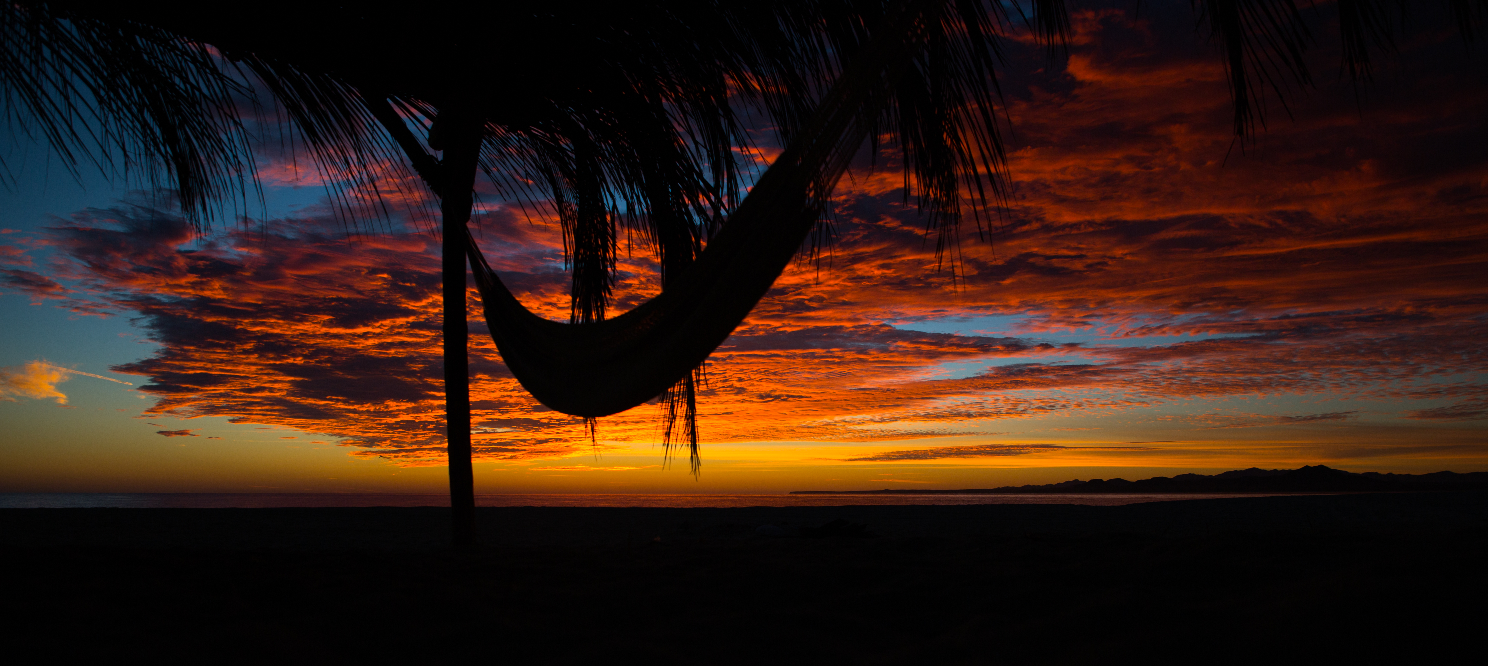 Laden Sie das Sunset, Clouds, Palm, Hängematte, Dunkel, Palme-Bild kostenlos auf Ihren PC-Desktop herunter