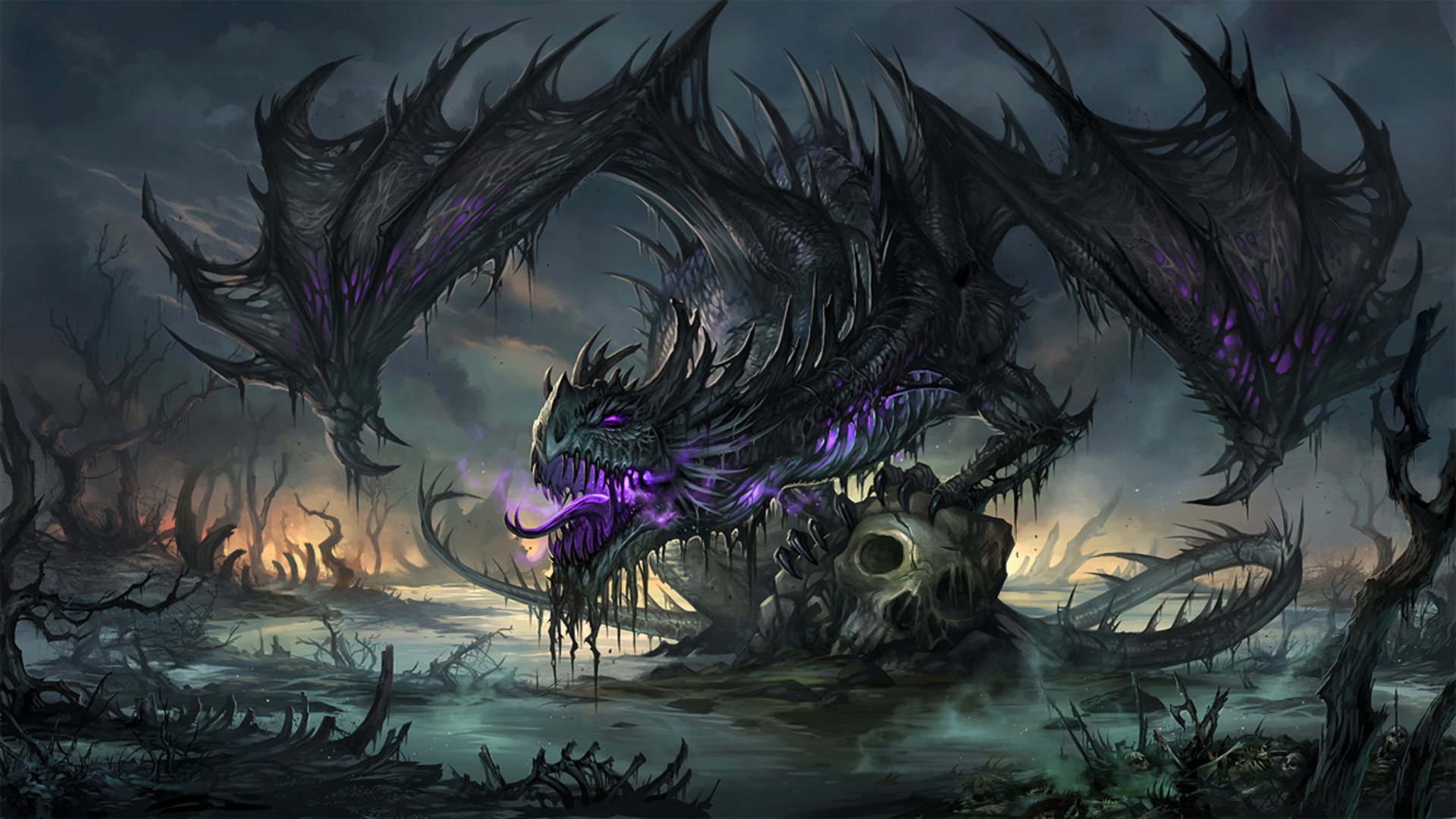 fantasy, dragon, skull phone background
