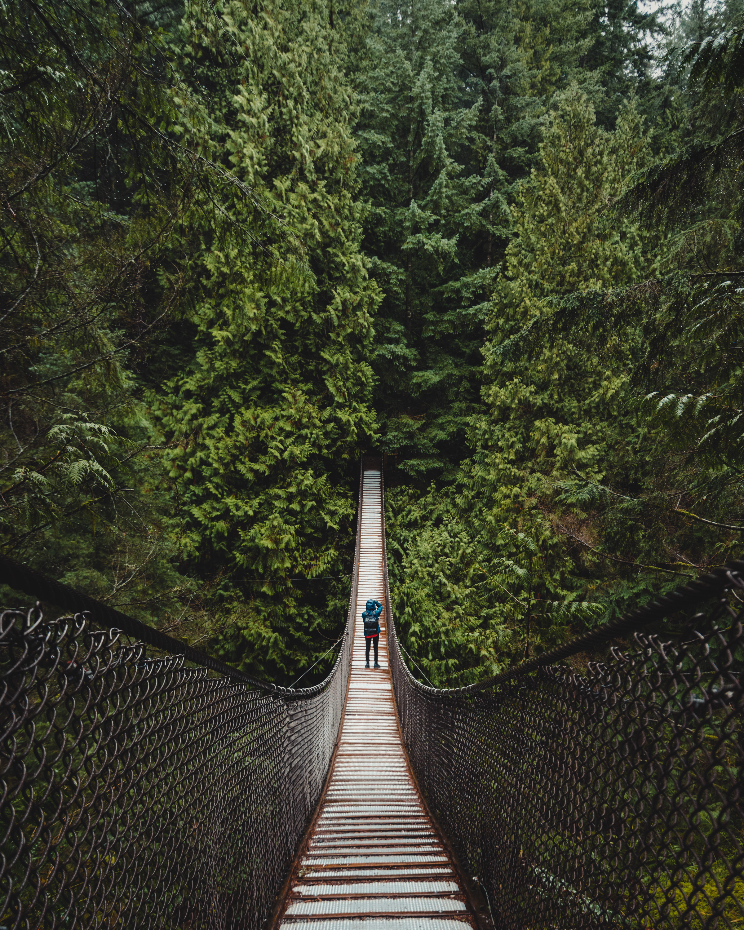 Скачать картинку Подвесной Мост, Деревья, Лес, Человек, Природа в телефон бесплатно.