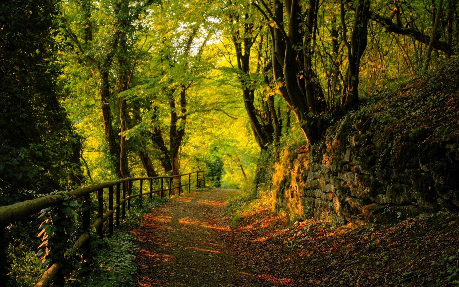Handy-Wallpaper Wald, Pfad, Weg, Bäume, Stones, Natur, Blätter, Herbst kostenlos herunterladen.