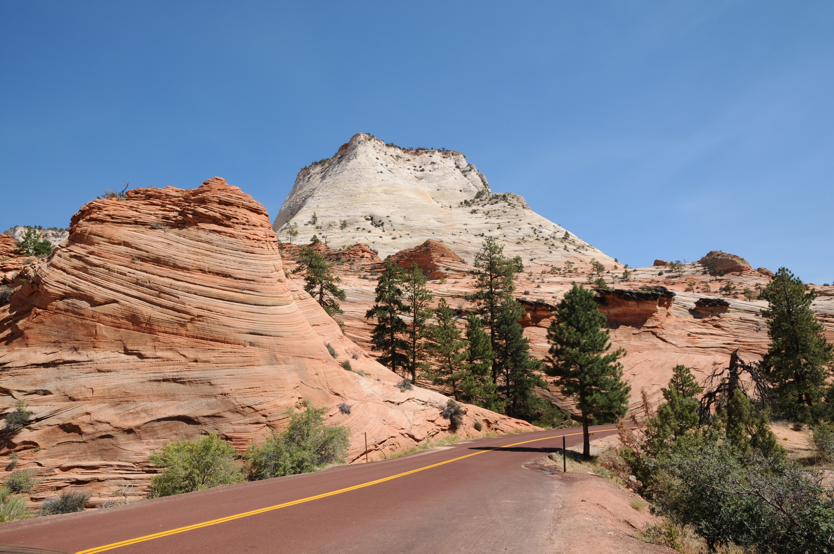 Download mobile wallpaper Park, Road, Zion, United States, Nature, Usa for free.