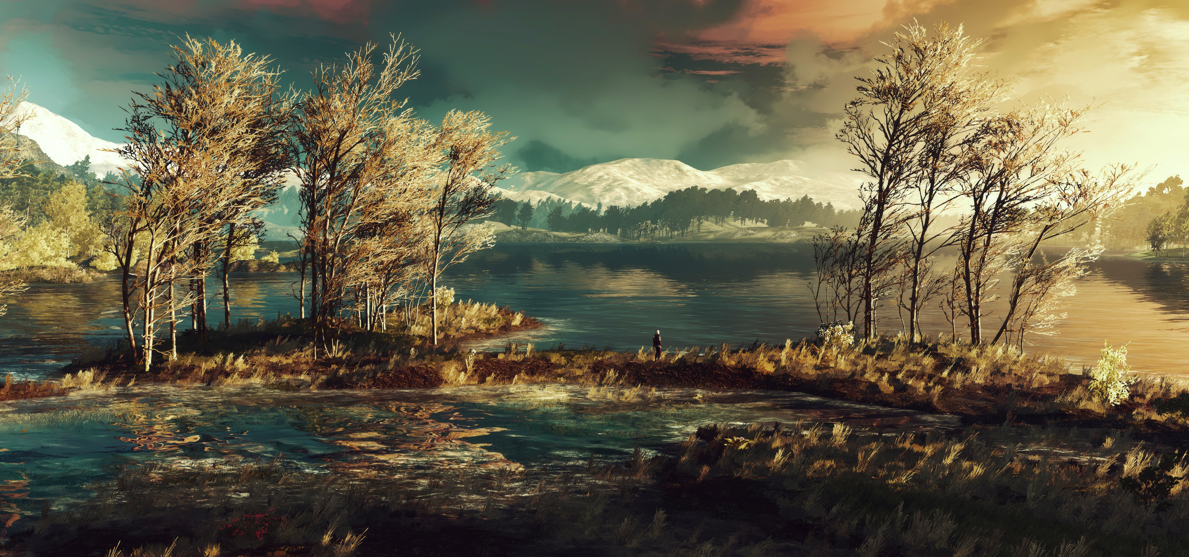 landscape, the witcher, the witcher 3: wild hunt, video game, geralt of rivia wallpaper for mobile