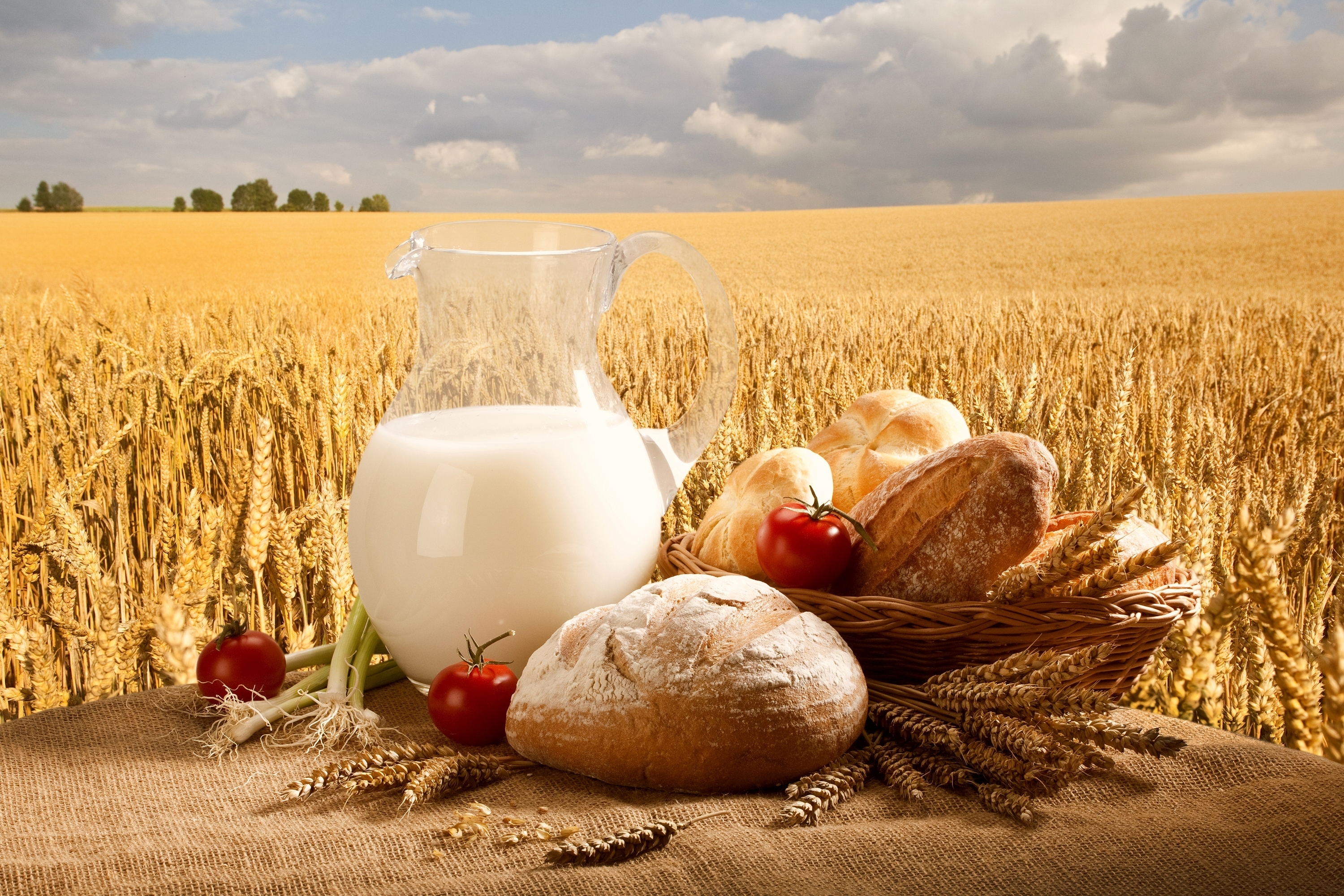 food, still life, basket, bread, field, onion, sky, tomato, wheat lock screen backgrounds