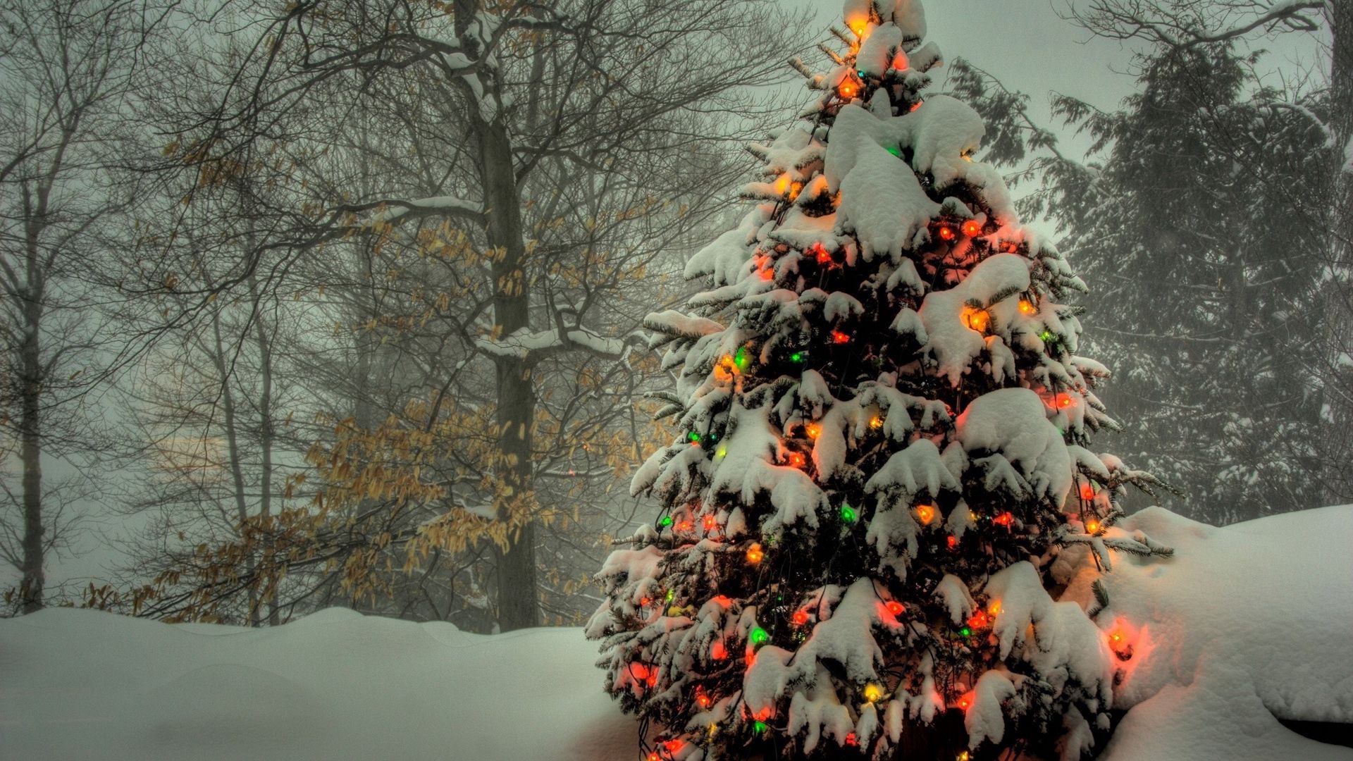 holidays, toys, snow, shine, light, christmas tree Desktop Wallpaper