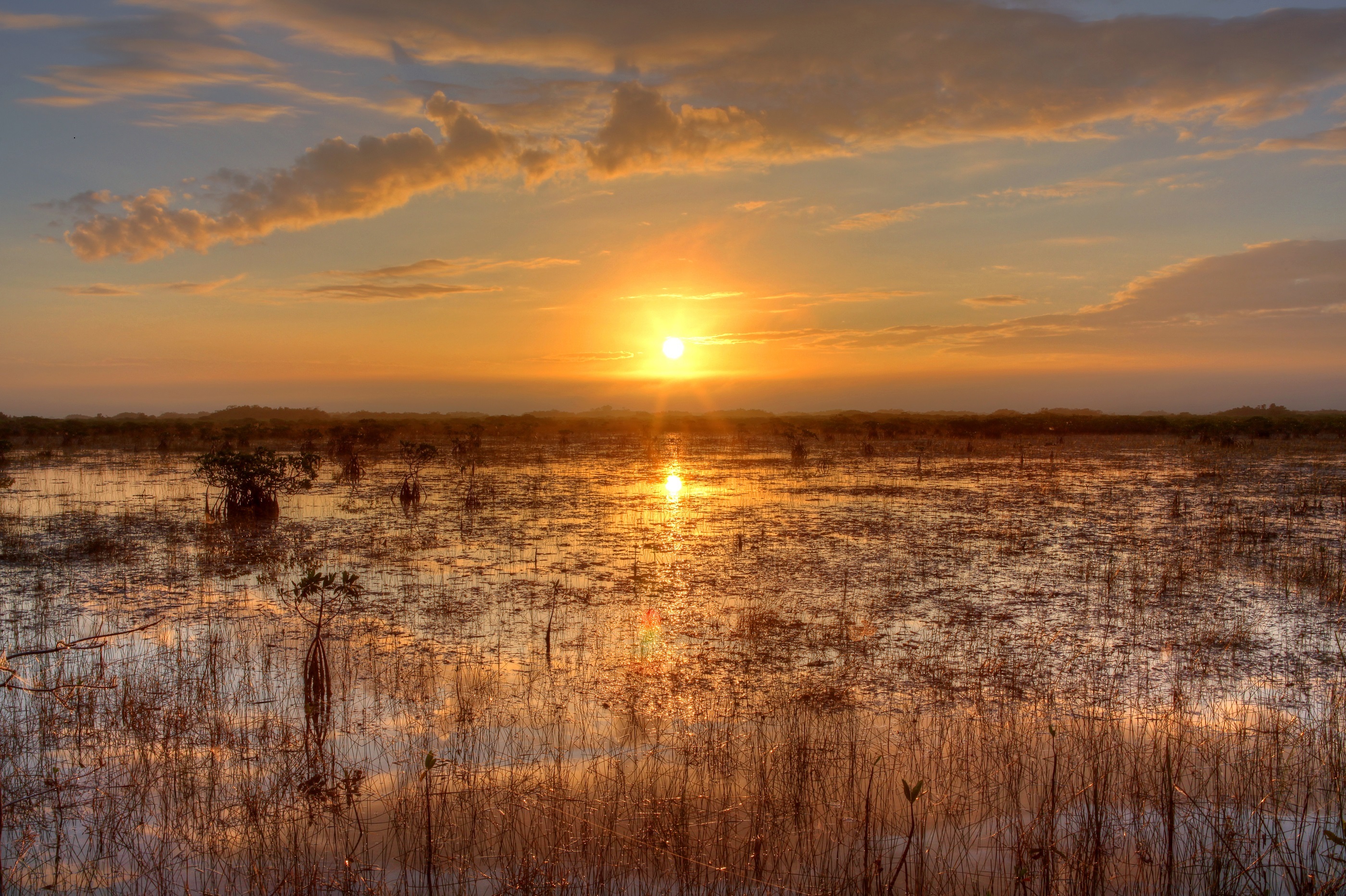 Everglades Tablet HD picture