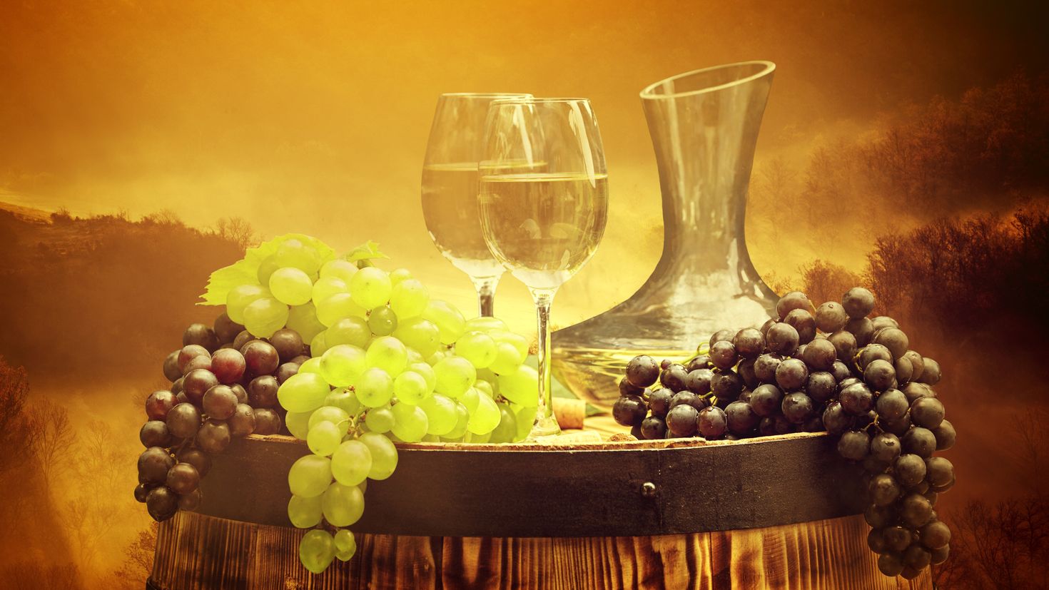 Розовое вино виноград. Натюрморт. Натюрморт с вином и фруктами. Натюрморт с фруктами на природе. Натюрморт с виноградом.