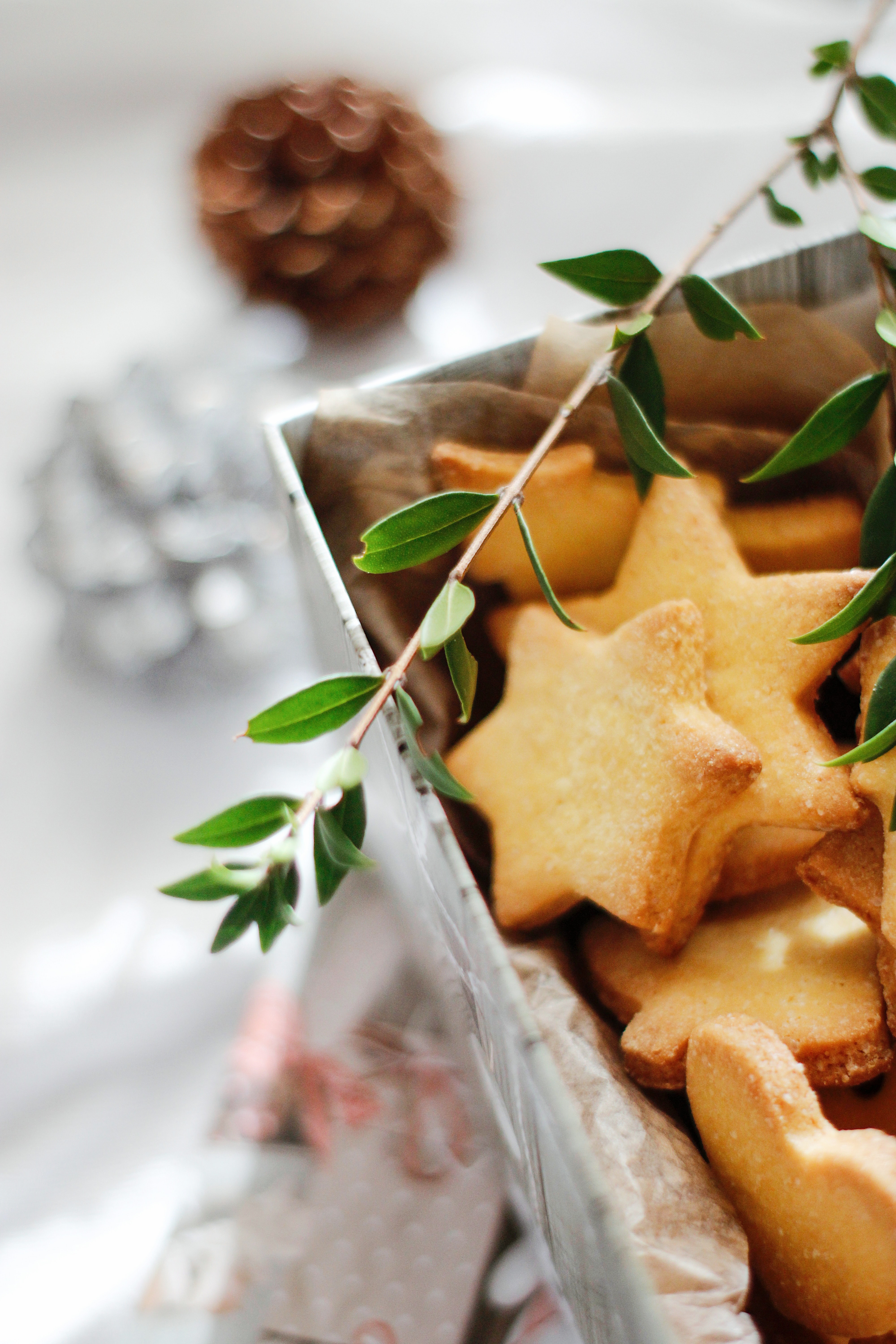 Free download wallpaper Food, Stars, Cookies, Branch, Desert, Bakery Products, Baking on your PC desktop