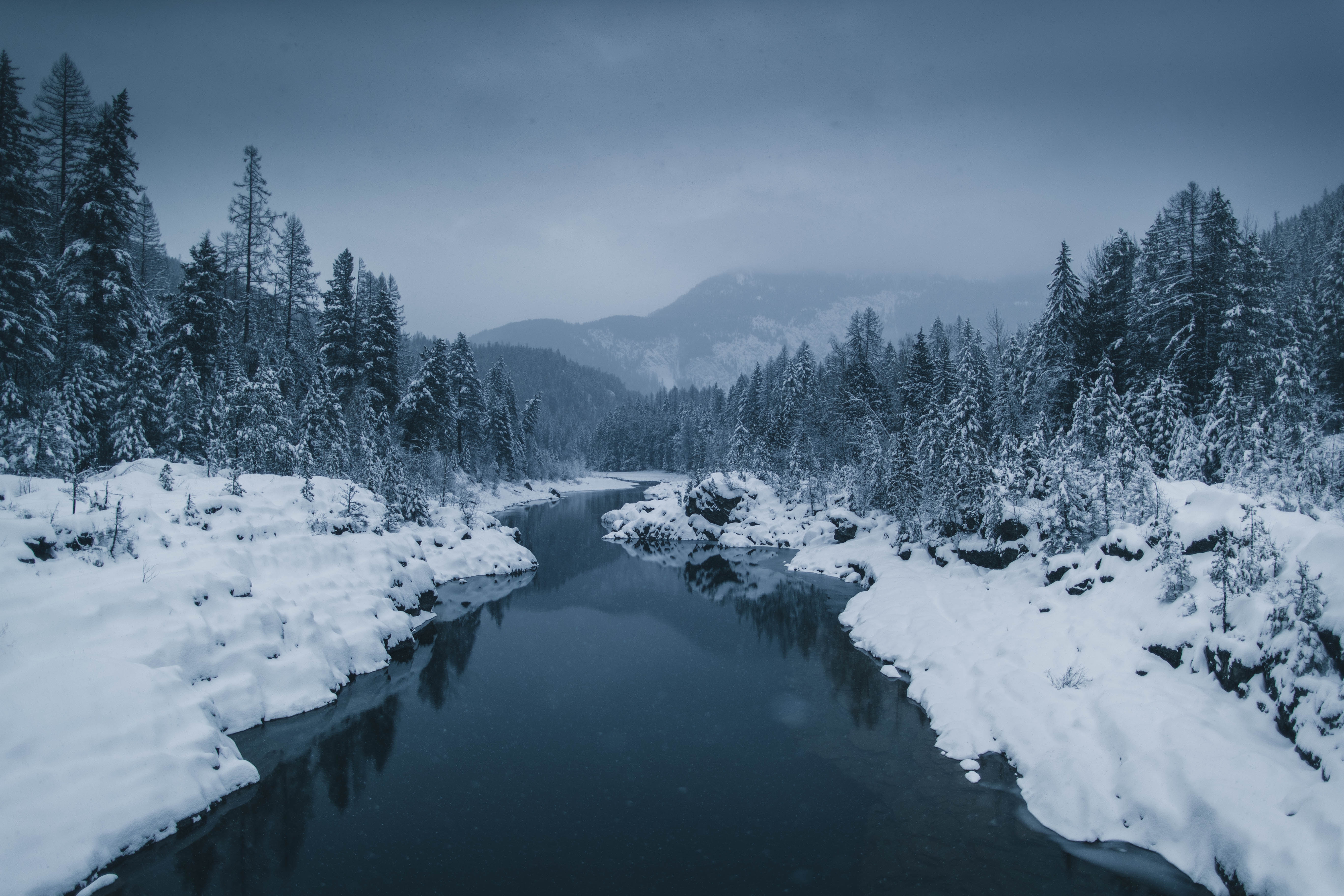Download mobile wallpaper Winter, Trees, Fog, Snow, Nature, Rivers for free.