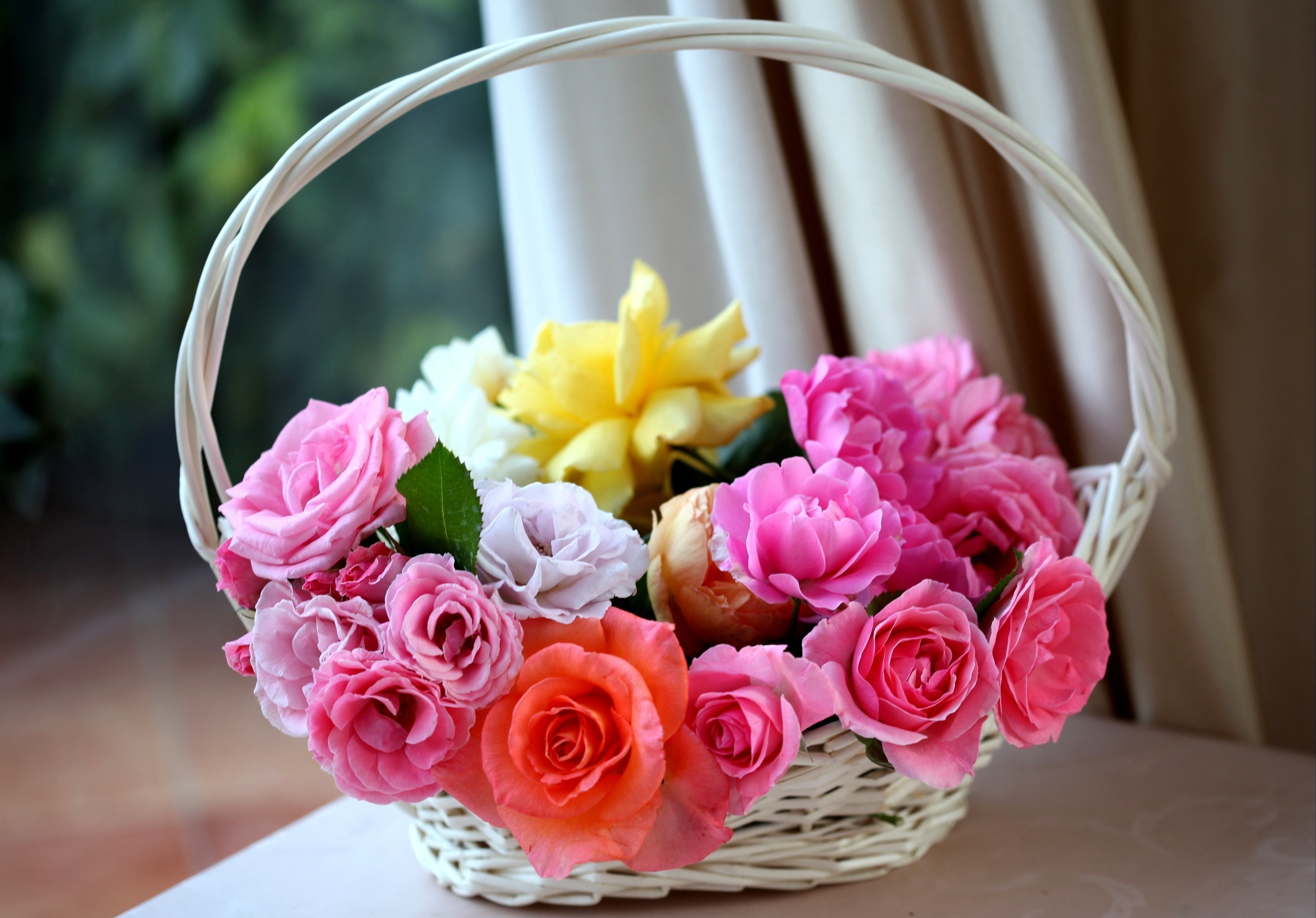 basket, roses, flowers, buds, charm, lukoshko Phone Background
