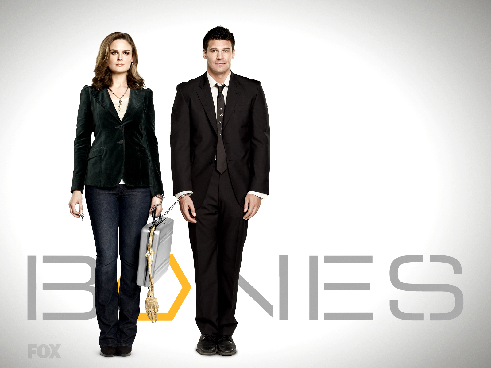 Download Bones wallpapers for mobile phone free Bones HD pictures
