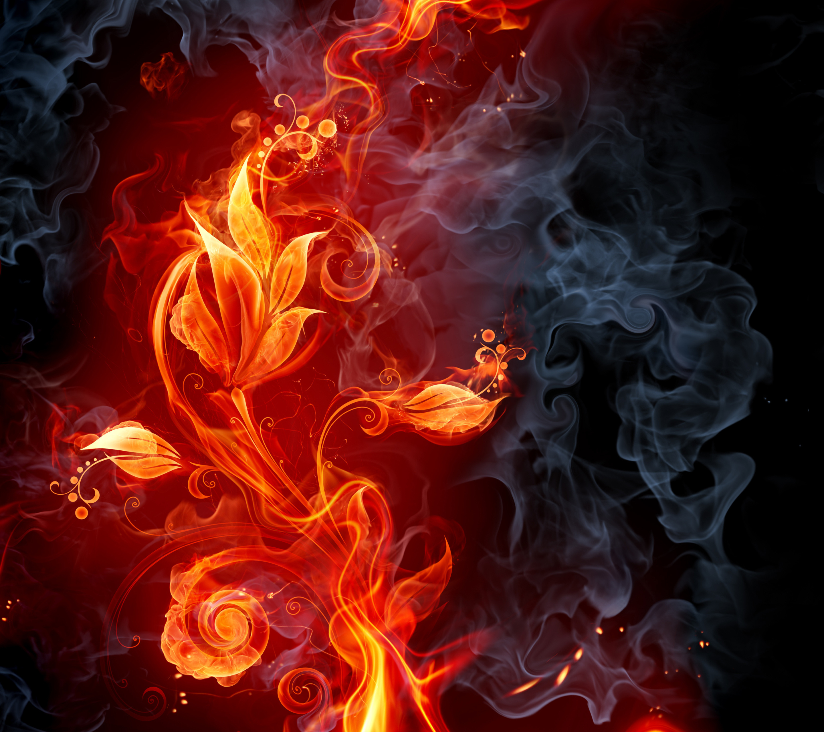 Цветы деньги и огонь. Огненный цветок. Красивое пламя. Пламенный цветок. Огненный фон.