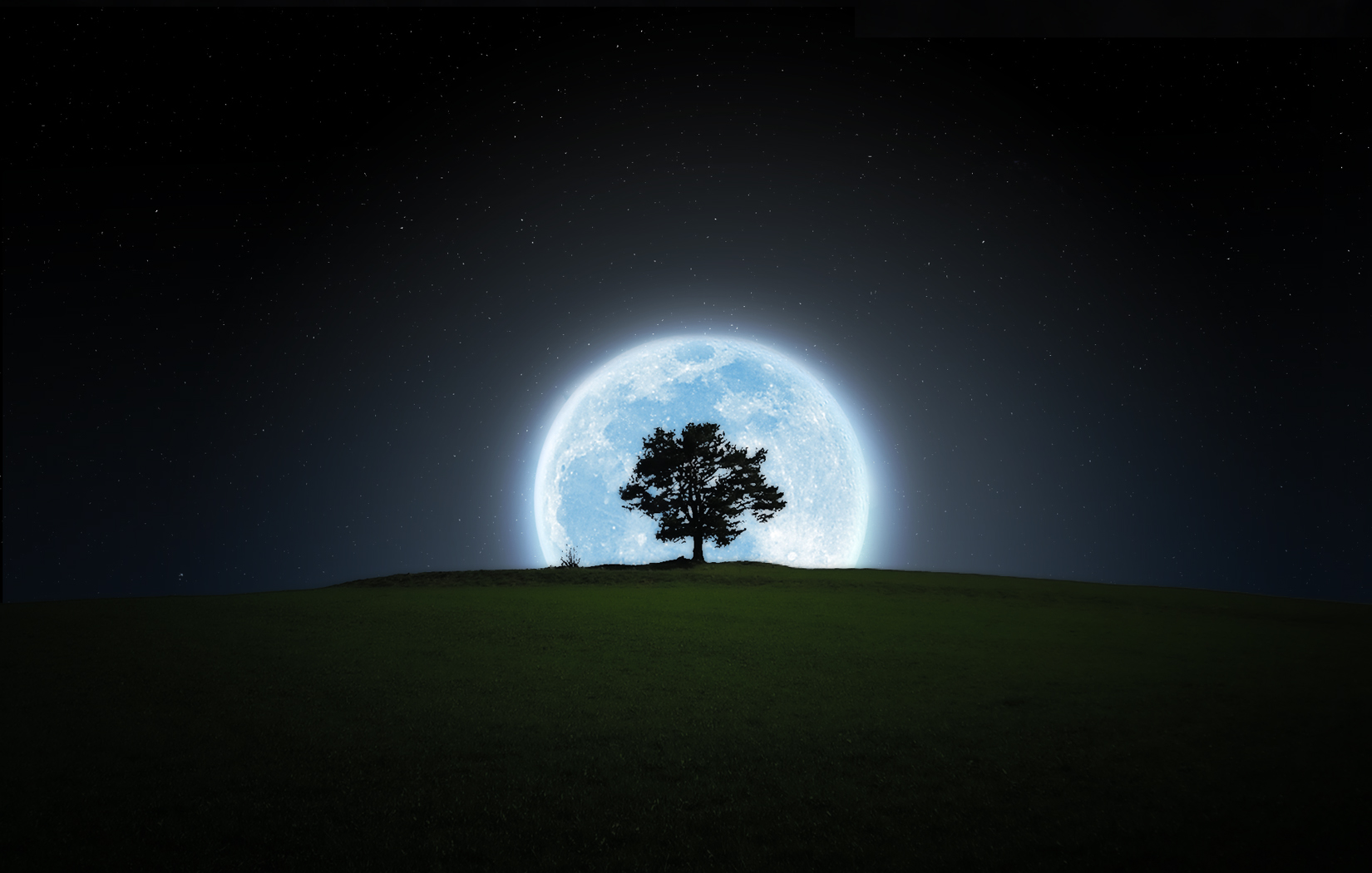 silhouette, night, moon, earth, tree