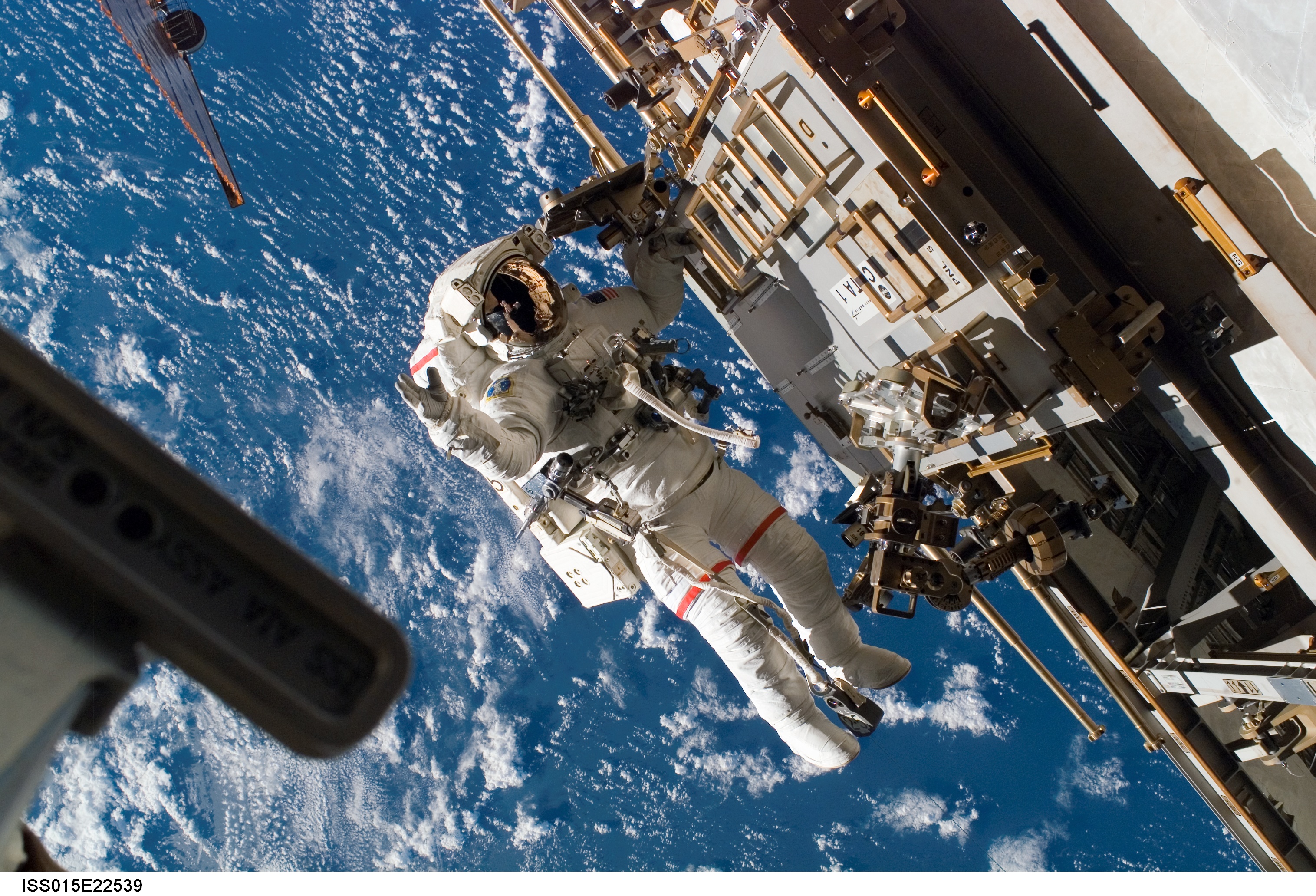 Free Images  Astronaut