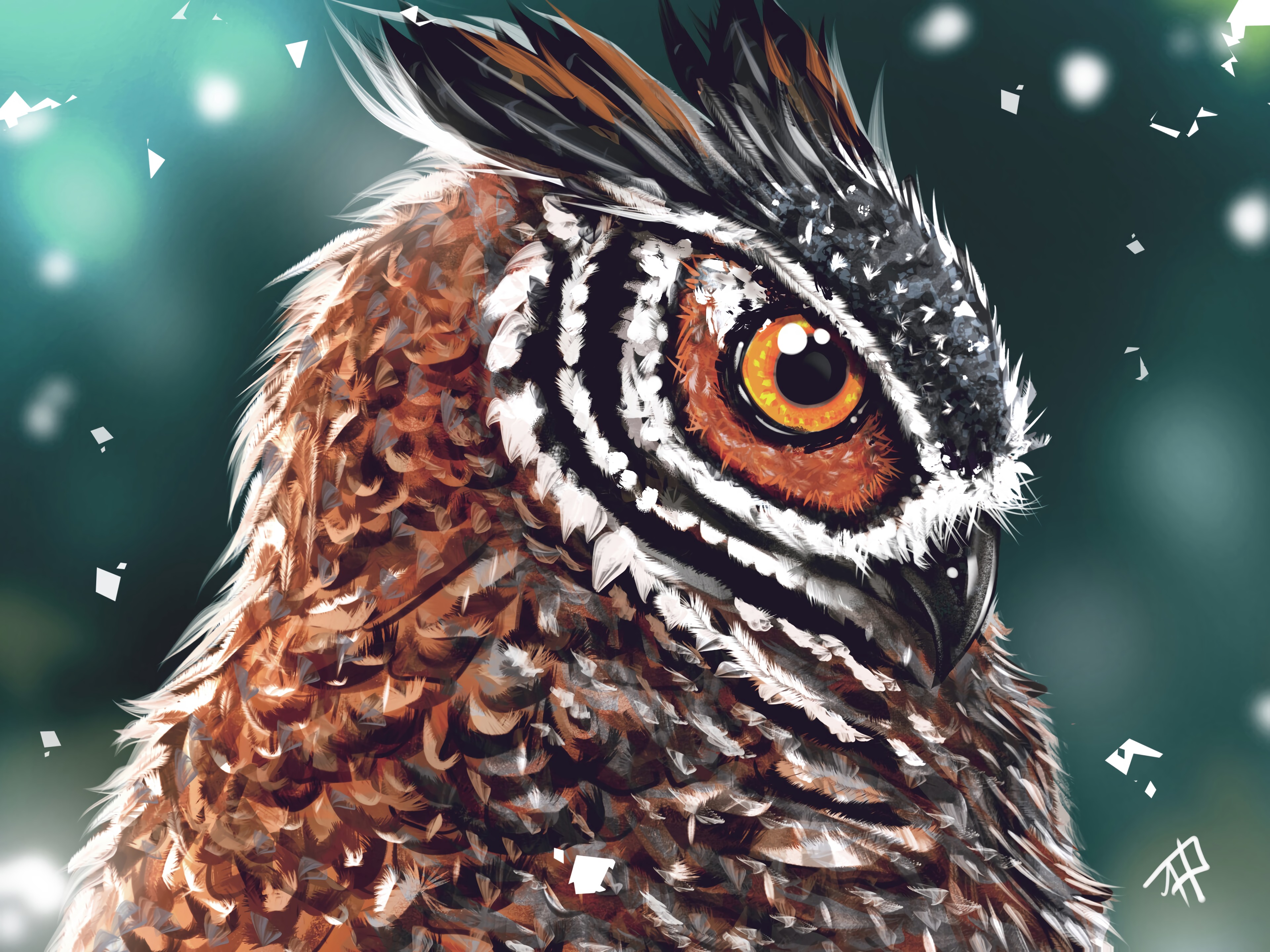 art, head, owl, bird, beak, eye download HD wallpaper