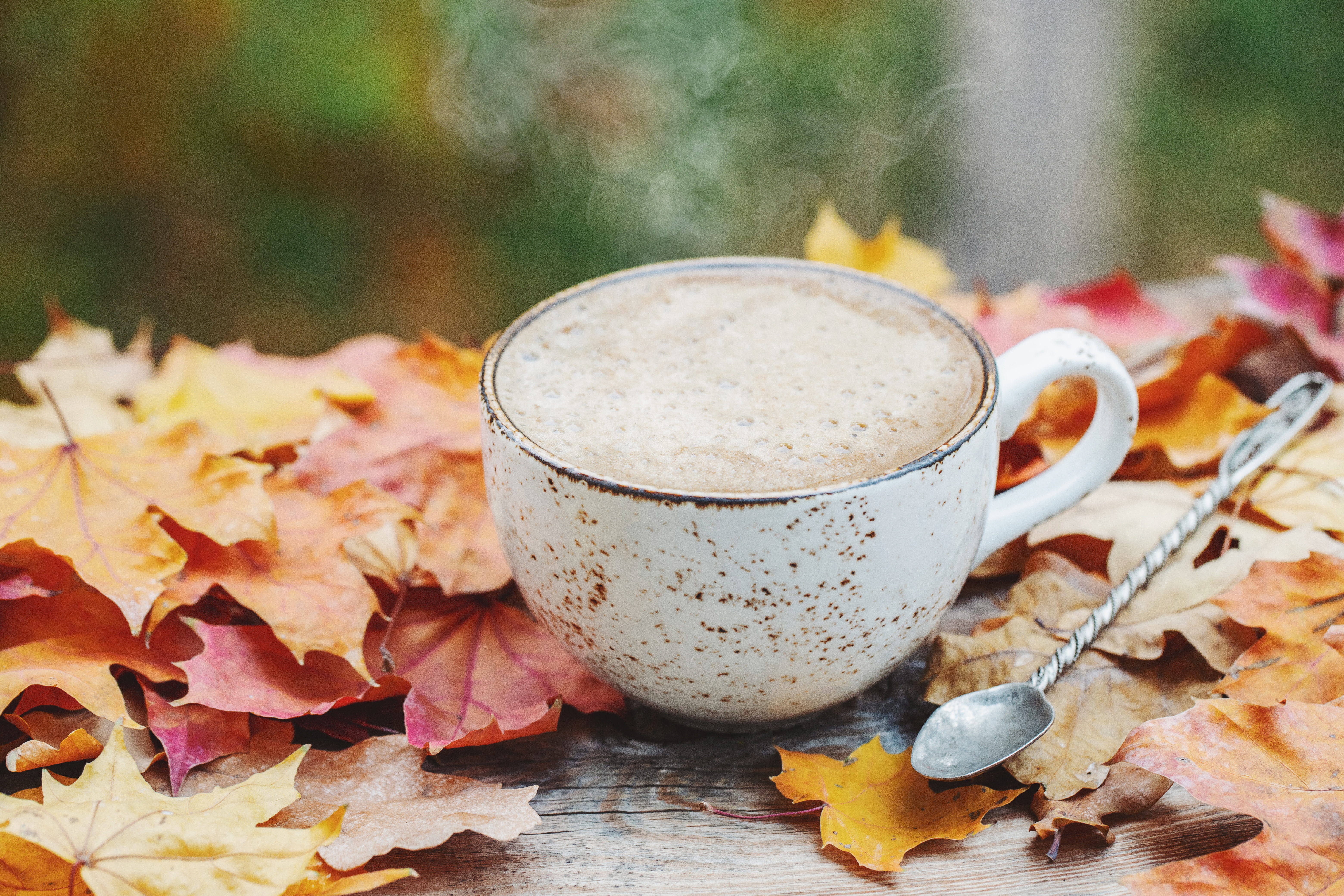 Download mobile wallpaper Food, Coffee, Still Life, Cup, Leaf, Fall for free.