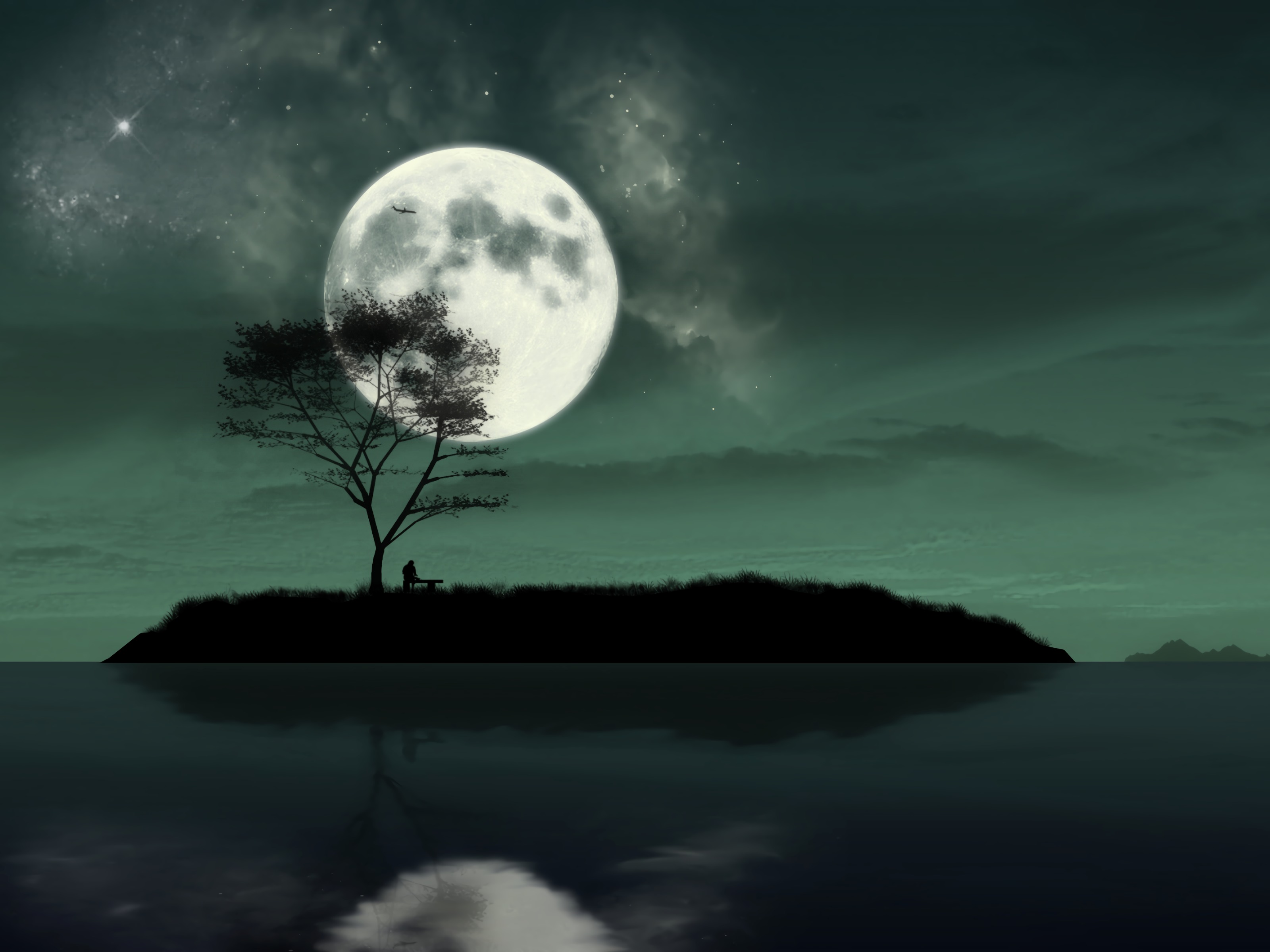 island, art, night, moon, silhouette, loneliness