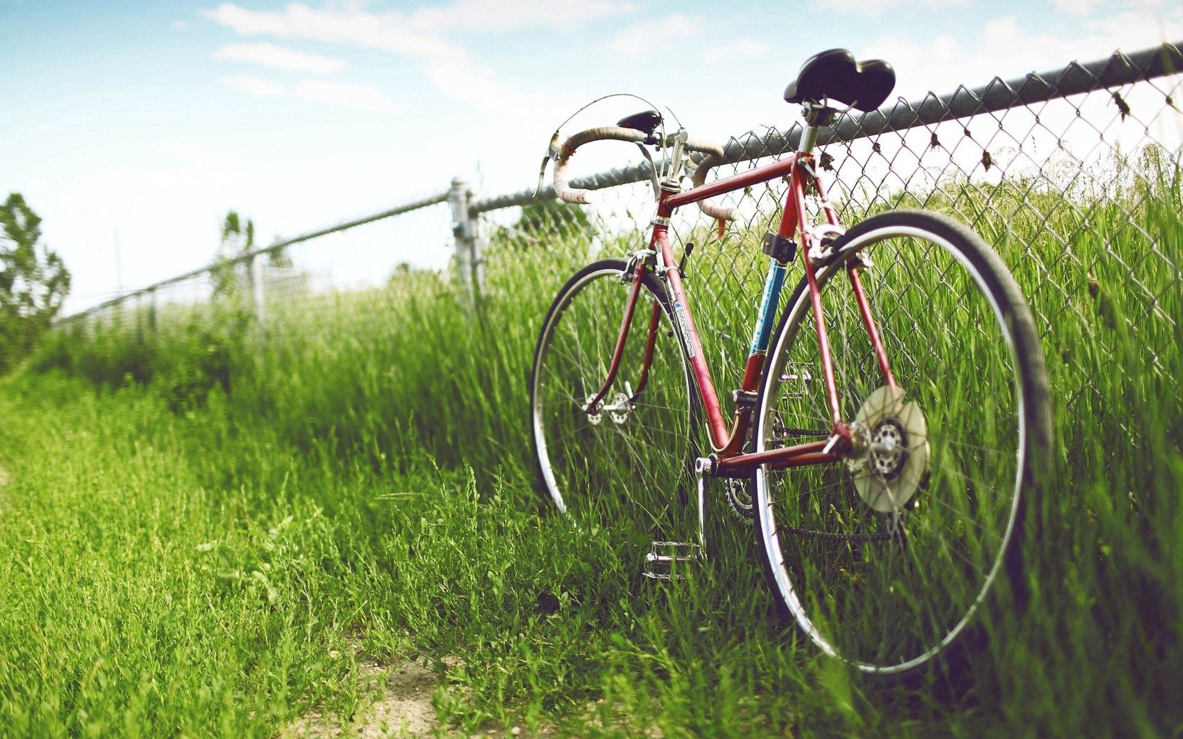 Download mobile wallpaper Hedge, Grass, Field, Fence, Nature, Summer, Bicycle for free.