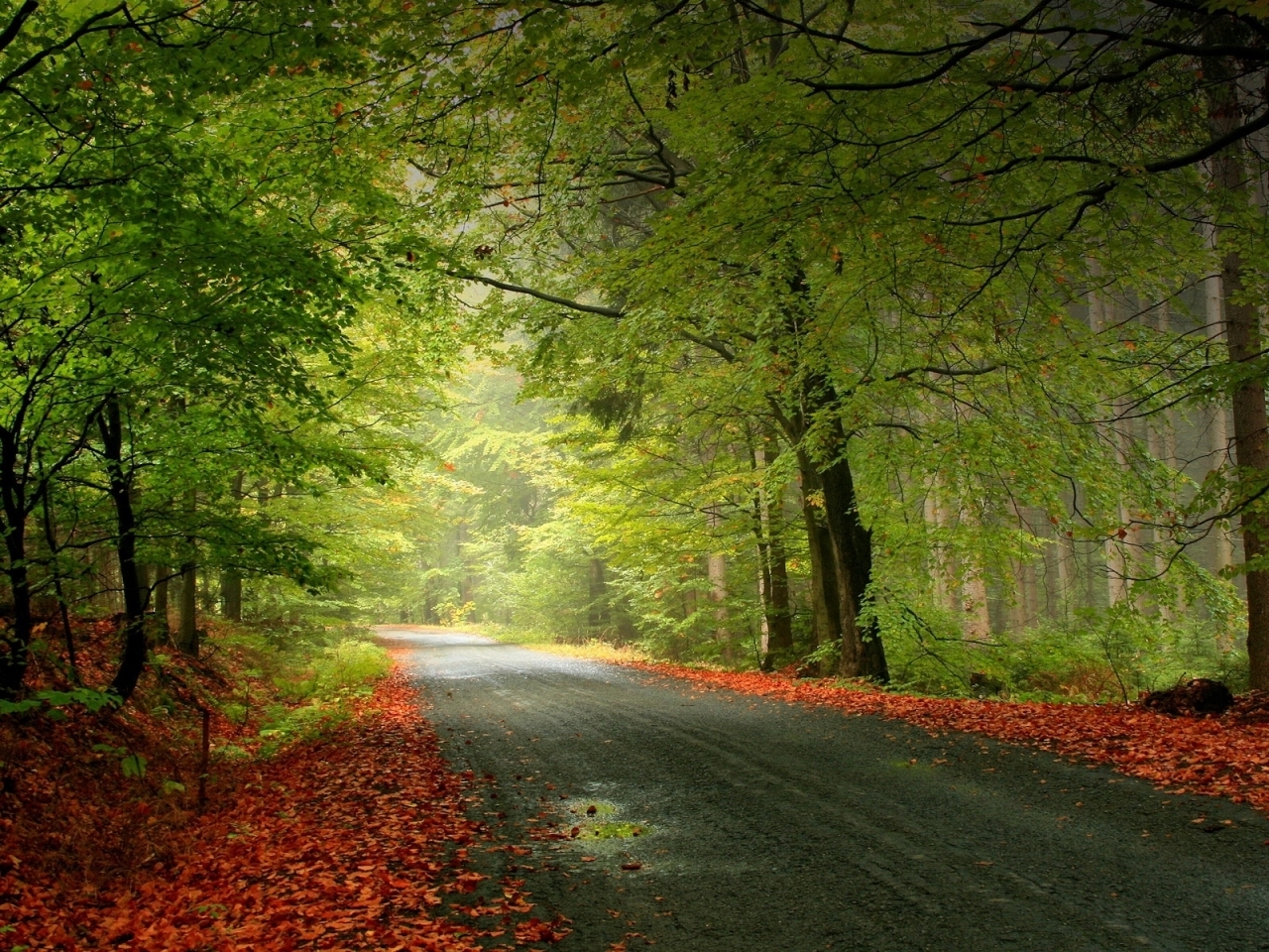 Download mobile wallpaper Roads, Trees, Landscape, Autumn for free.