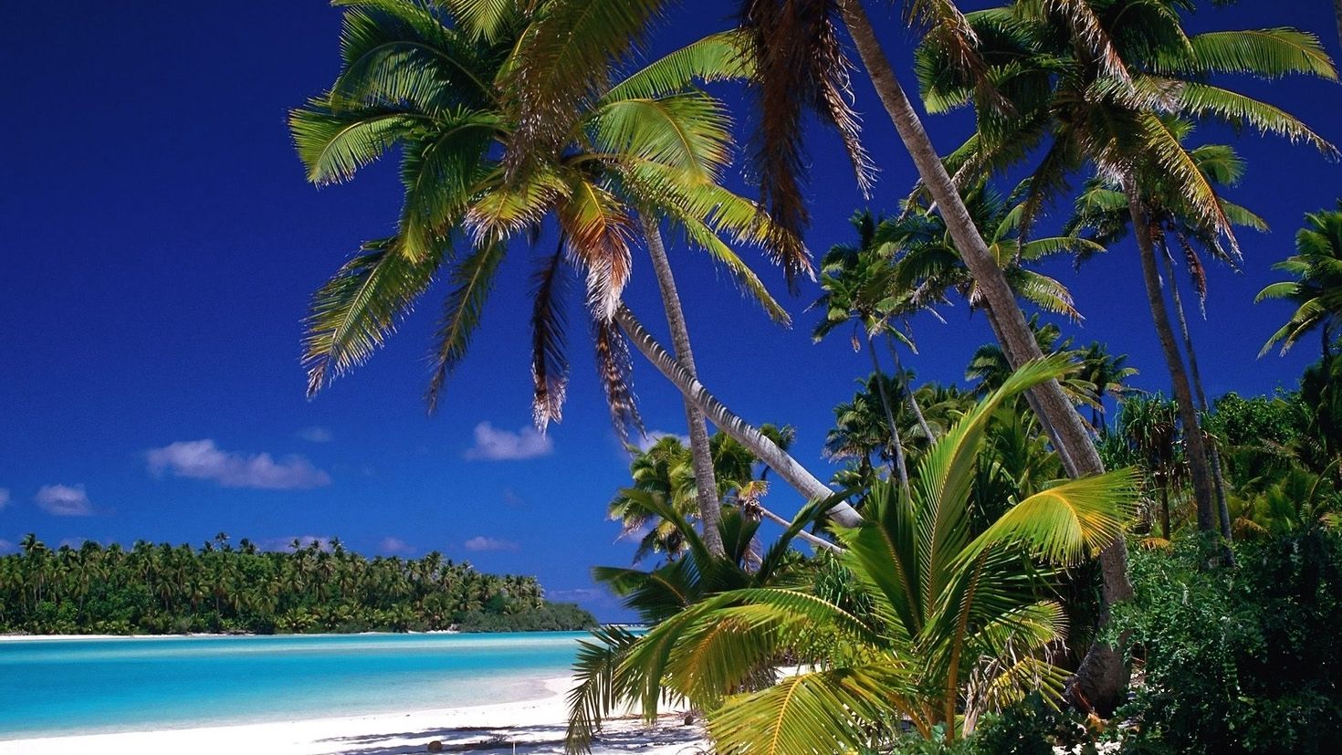 остров пальмы море