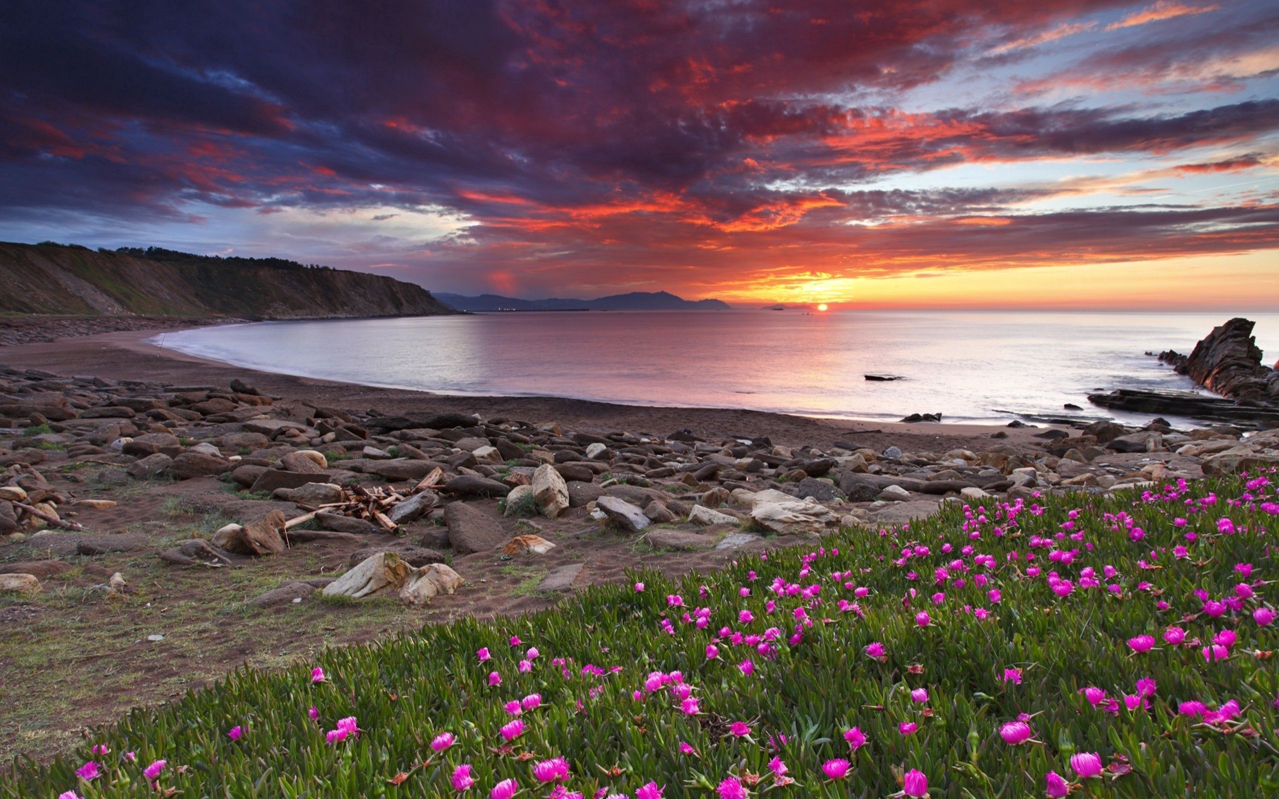 Download mobile wallpaper Bank, Shore, Nature, Stones, Clover, Flowers, Sunset for free.