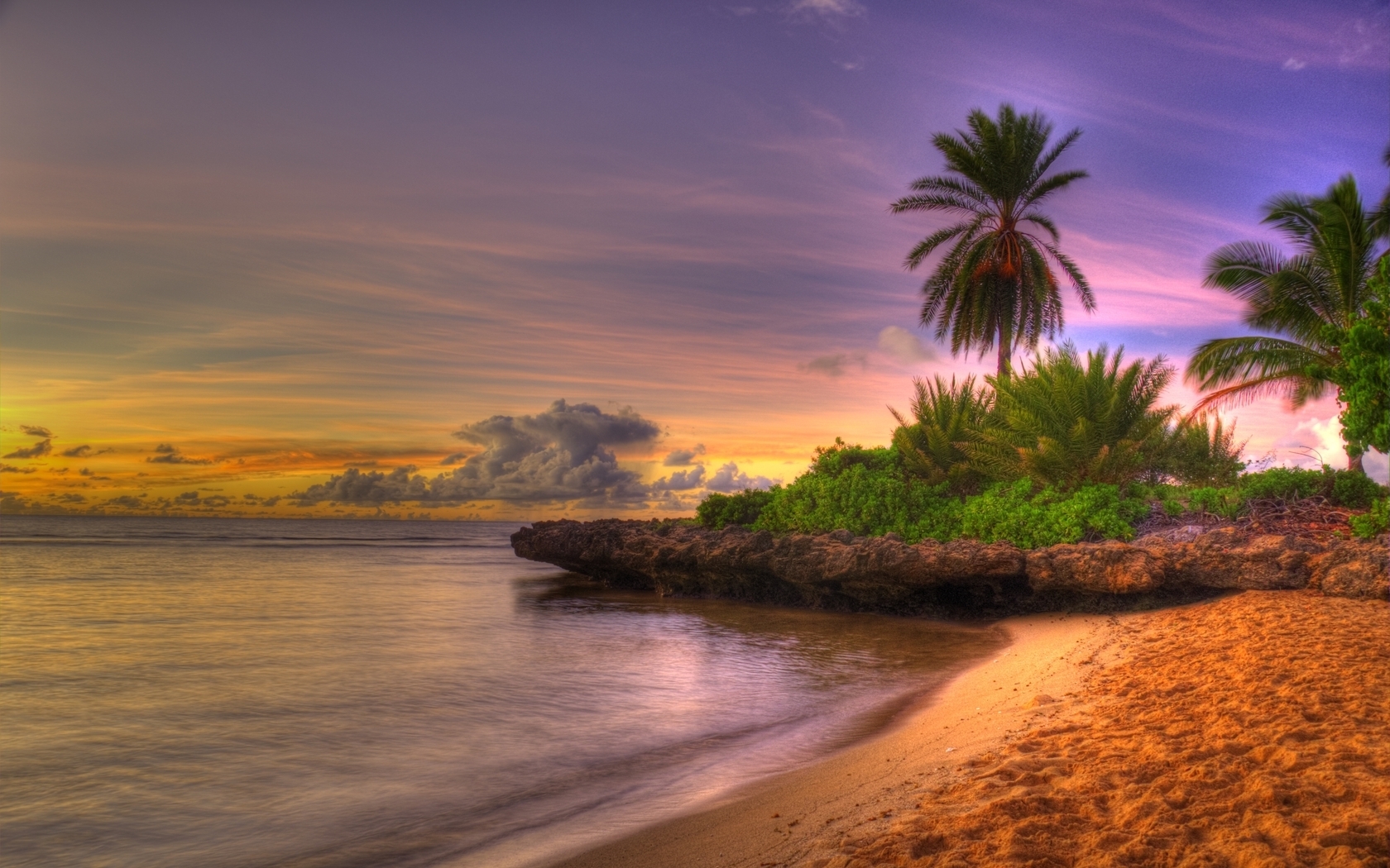 Download mobile wallpaper Landscape, Palms, Beach for free.