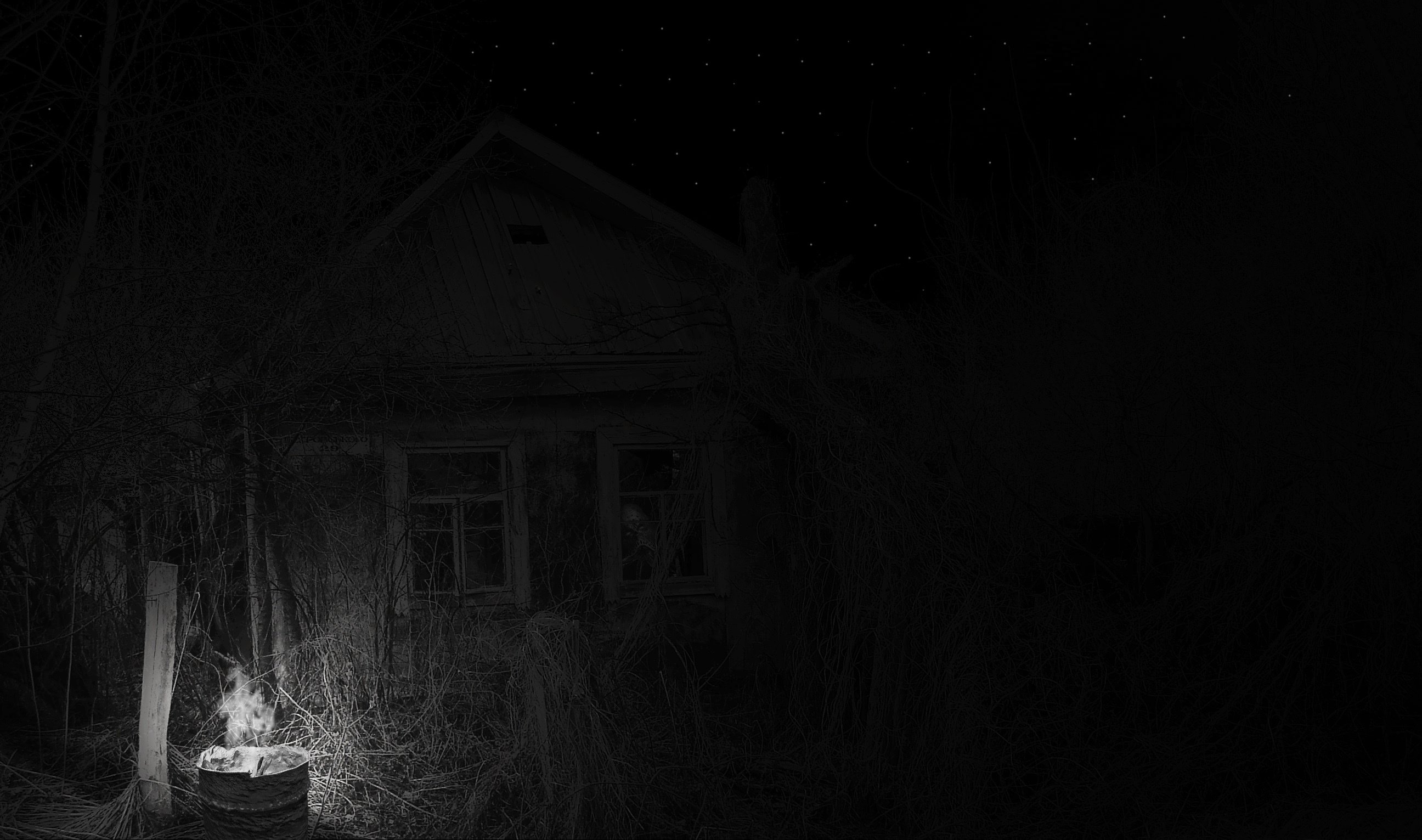 Ночные хорроры. Домик в лесу ночью. Заброшенный дом в деревне ночью. Жуткая ночь. Страшная деревня.