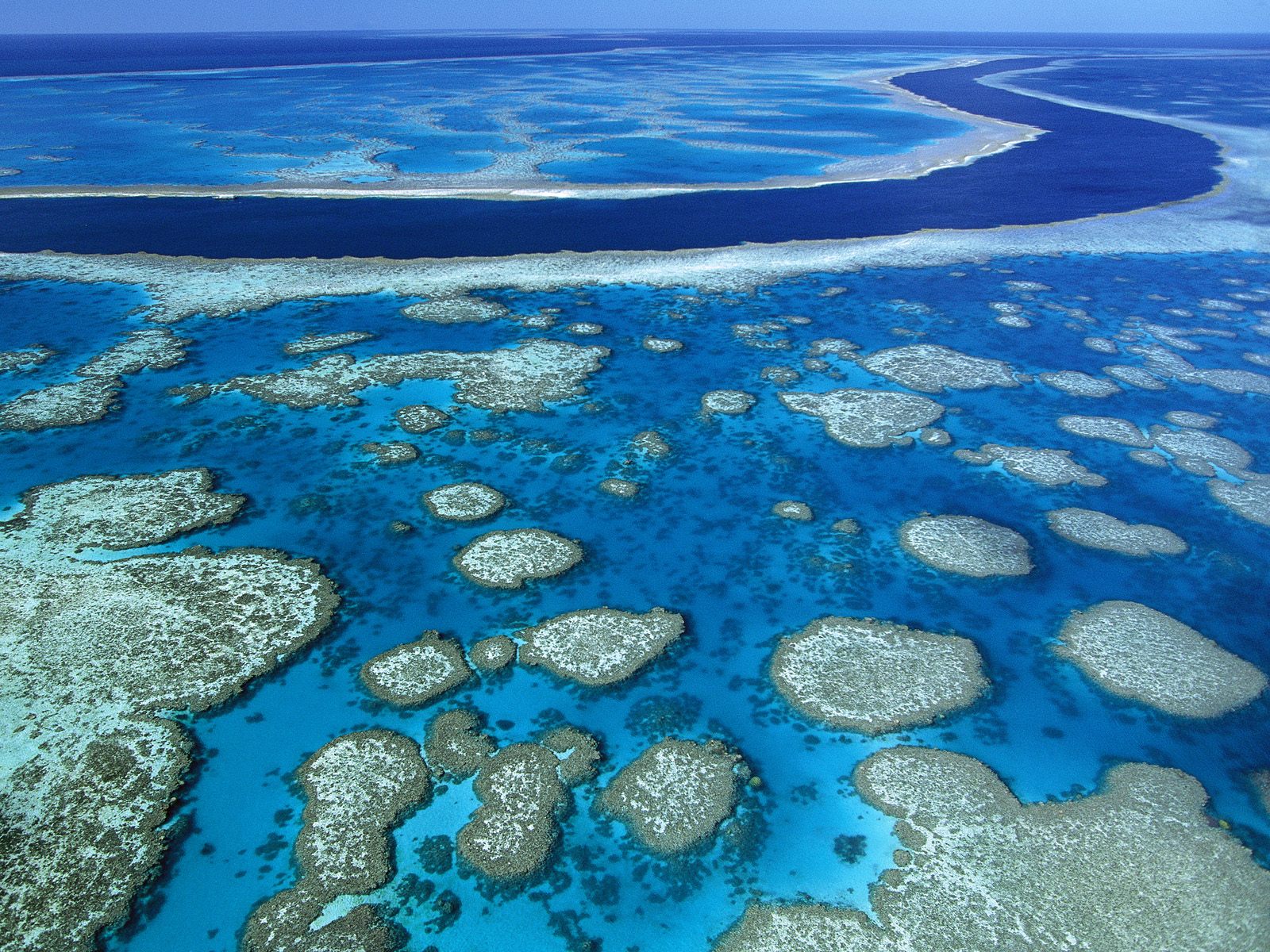 earth, great barrier reef, reef