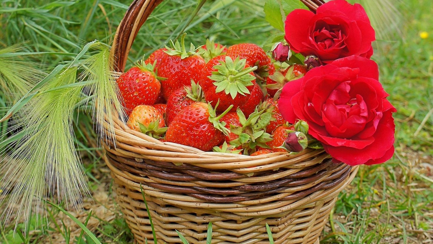 Лукошко с ягодами и цветами