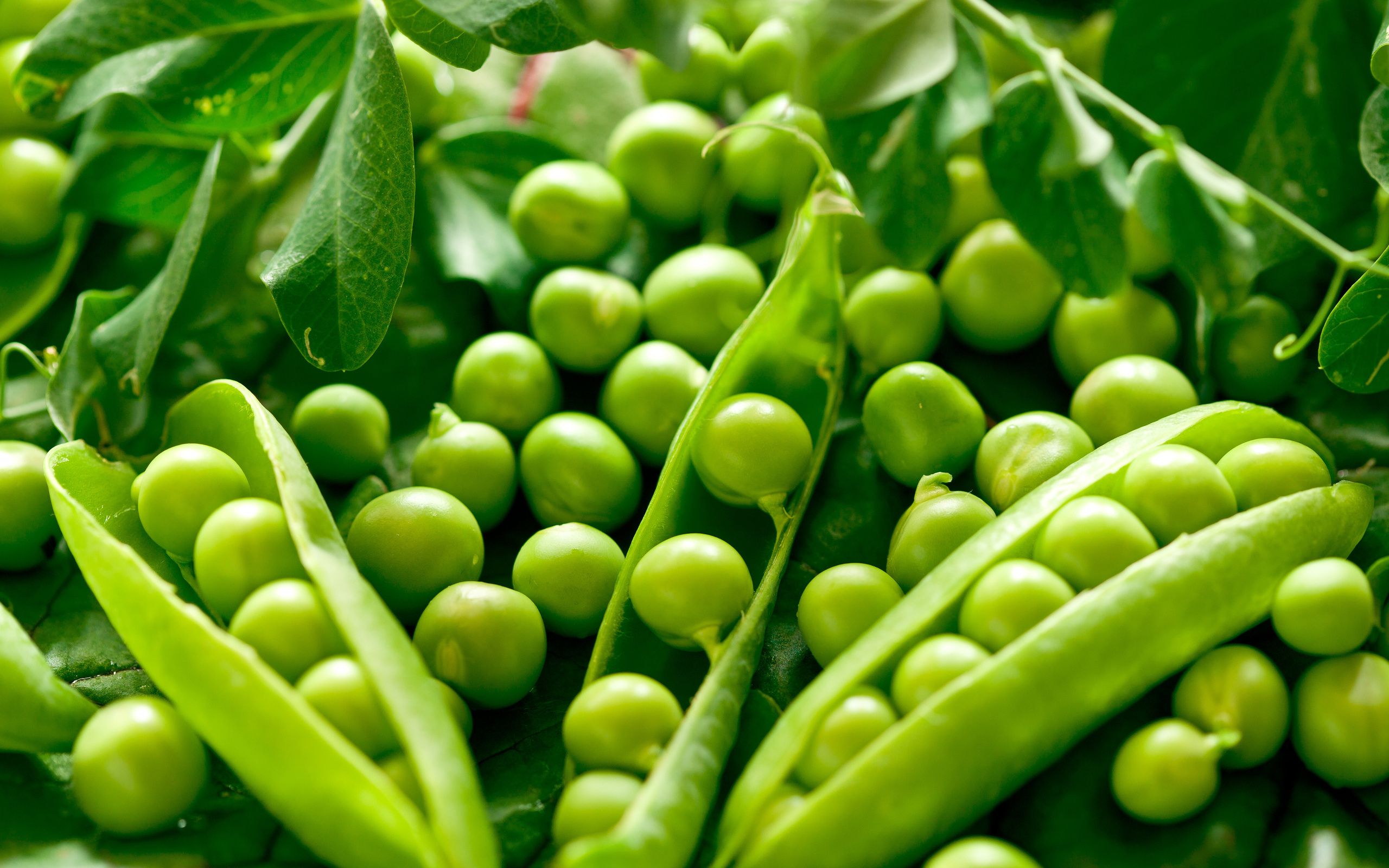 food, vegetables, green High Definition image
