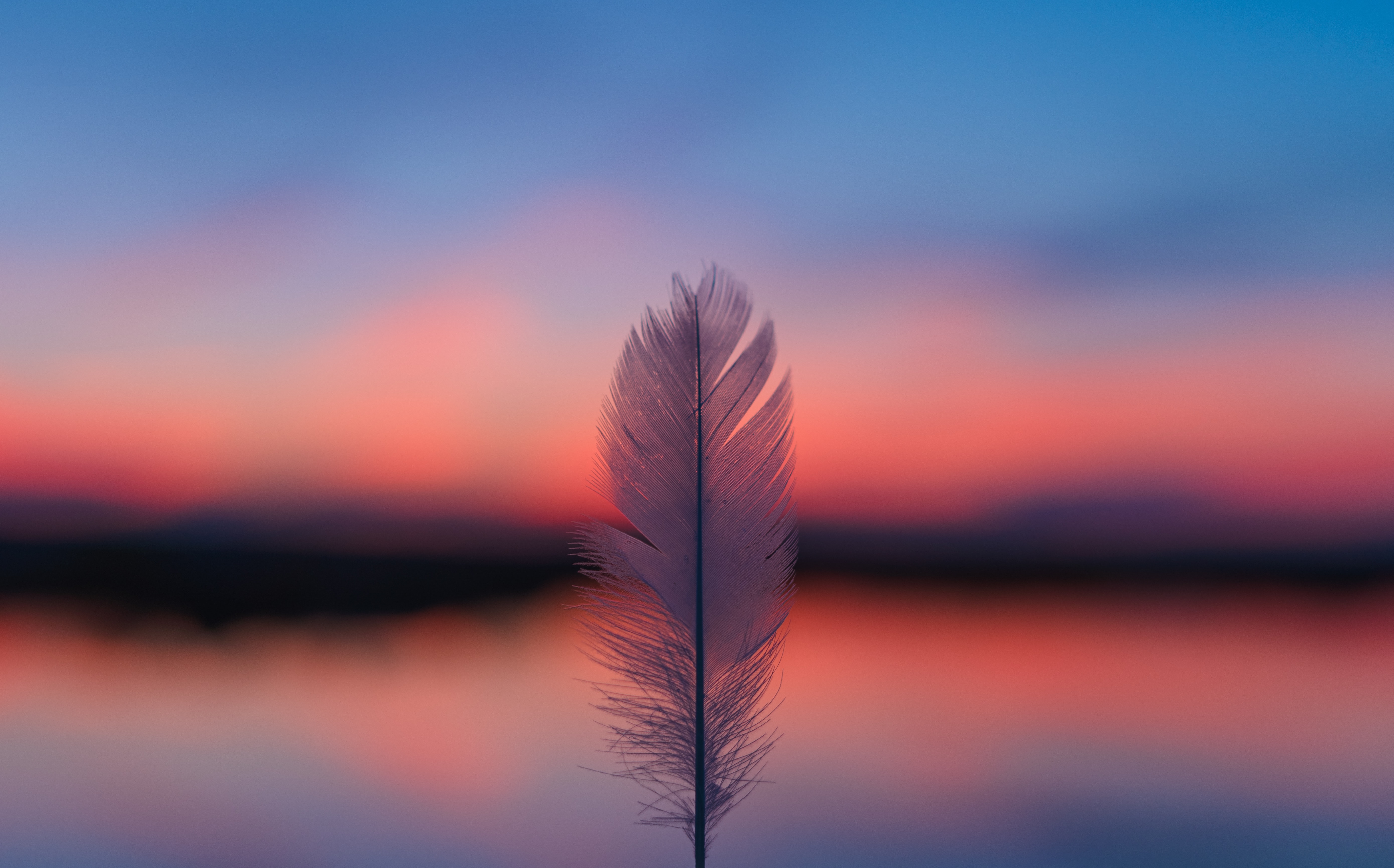 blur, sunset, feather, horizon, miscellanea, miscellaneous, smooth, pen