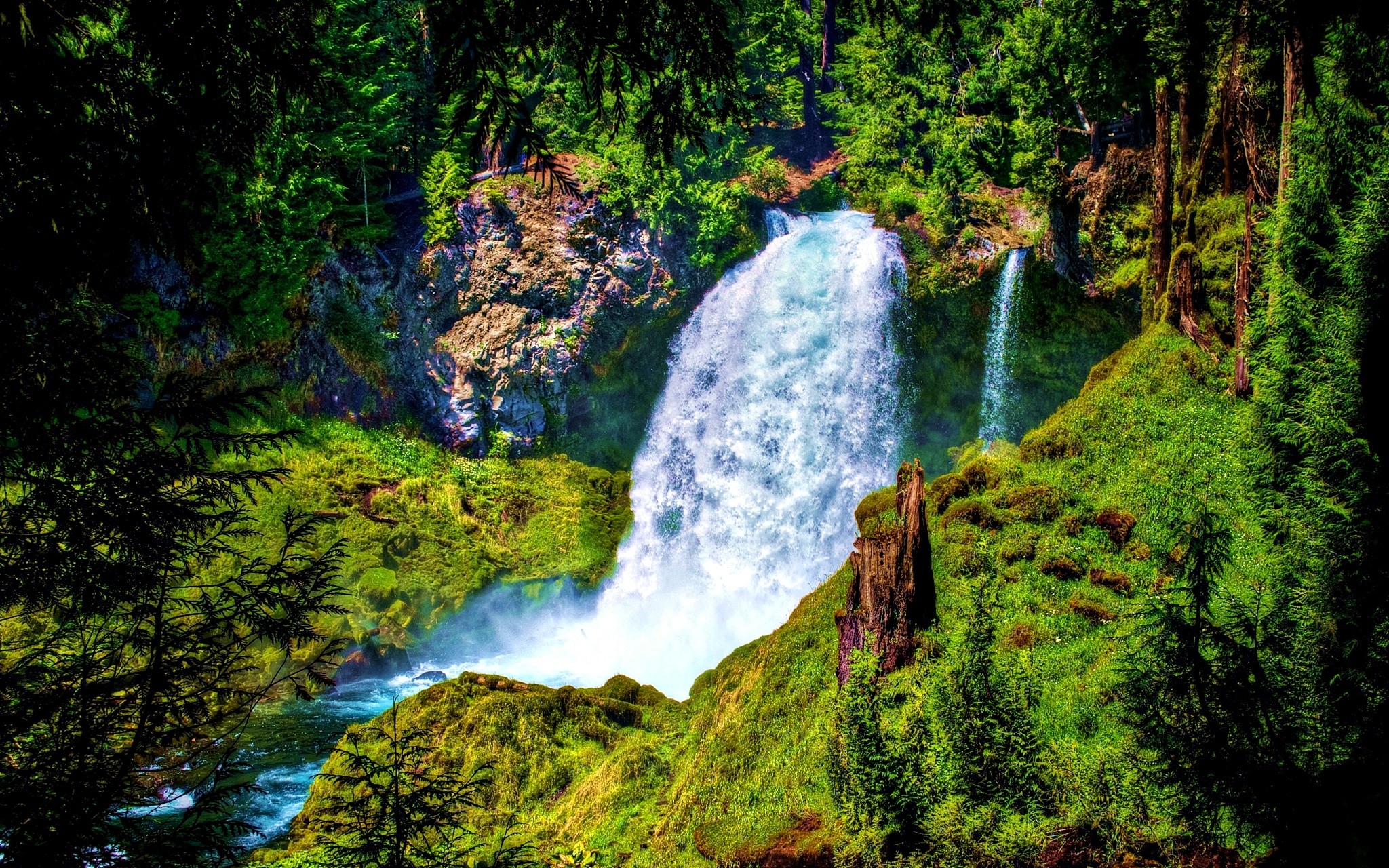 earth, waterfall, forest, green, nature, oregon, sahalie falls, tree, waterfalls