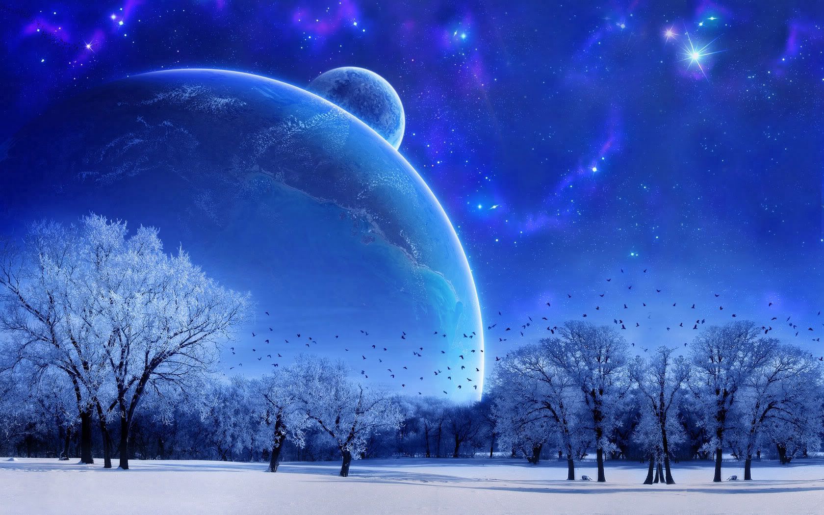 android sky, landscape, nature, abstract, full moon, snow, winter, birds, trees, evening