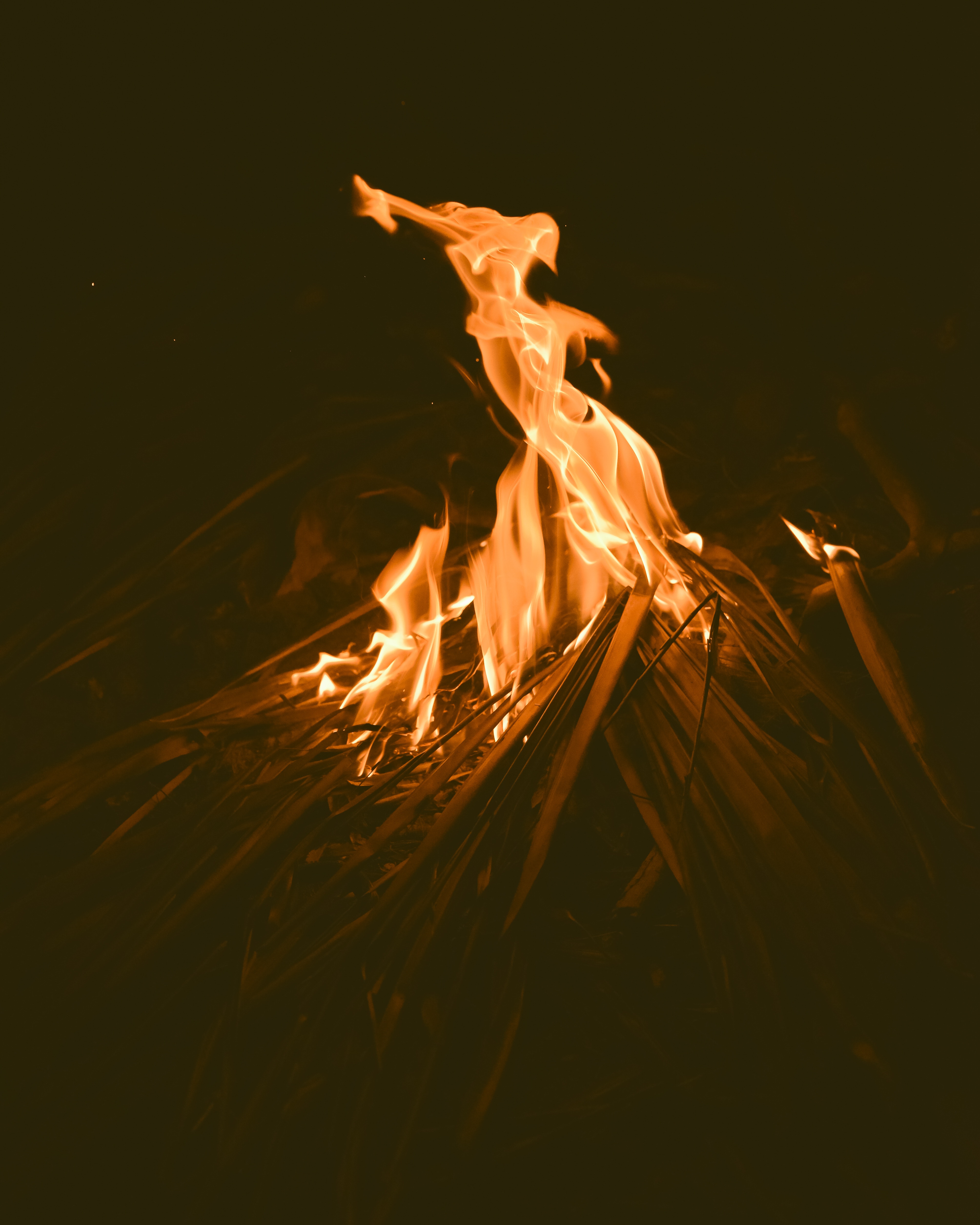 PCデスクトップに火災, 闇, 暗い, 火炎, たき火, 炎画像を無料でダウンロード