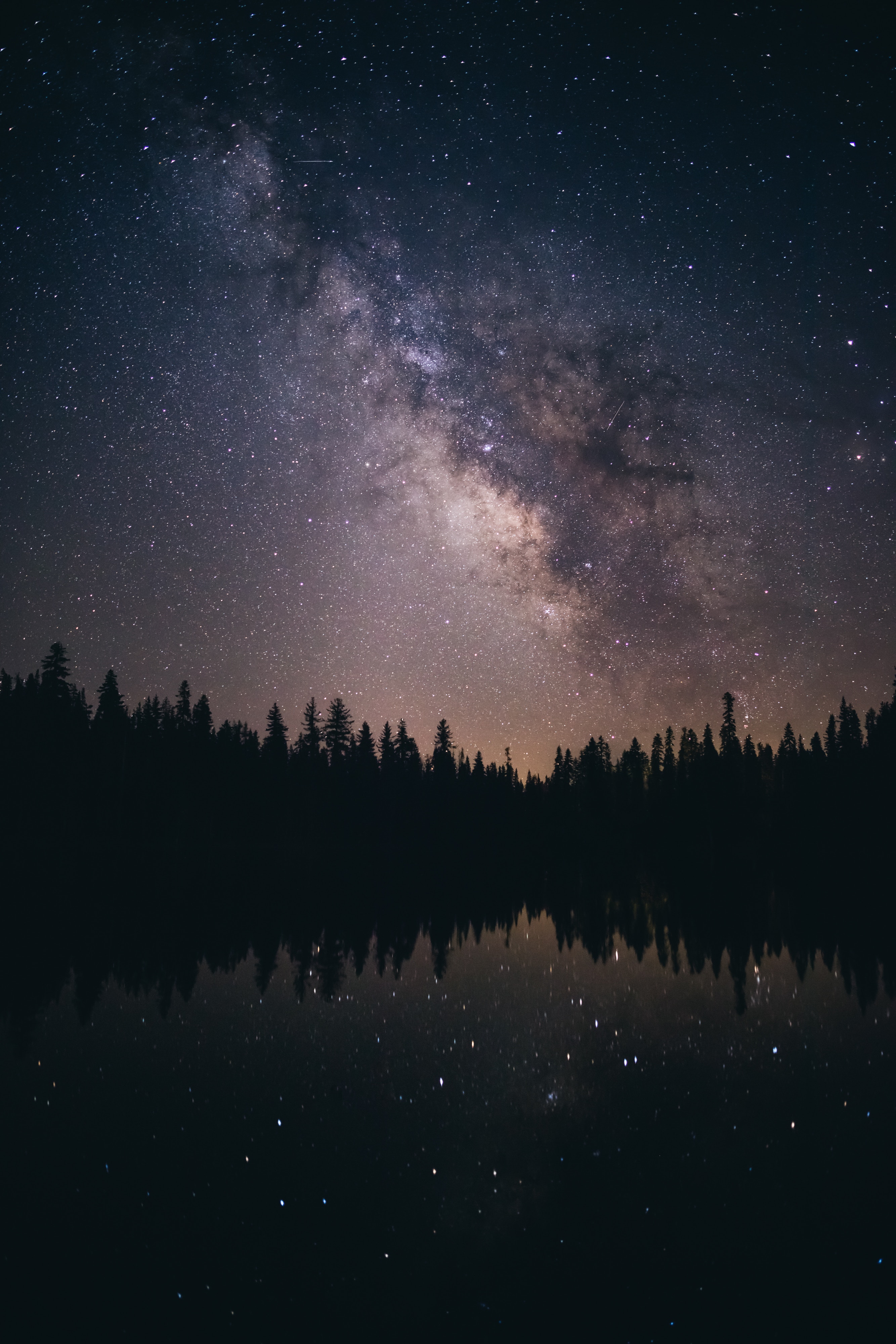 Download mobile wallpaper Stars, Milky Way, Starry Sky, Trees, Dark, Night for free.