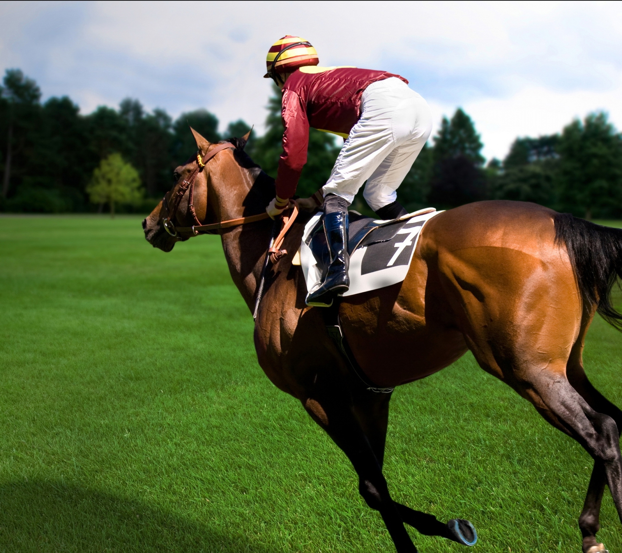 1092016 Bild herunterladen sport, pferderennen, rennen - Hintergrundbilder und Bildschirmschoner kostenlos