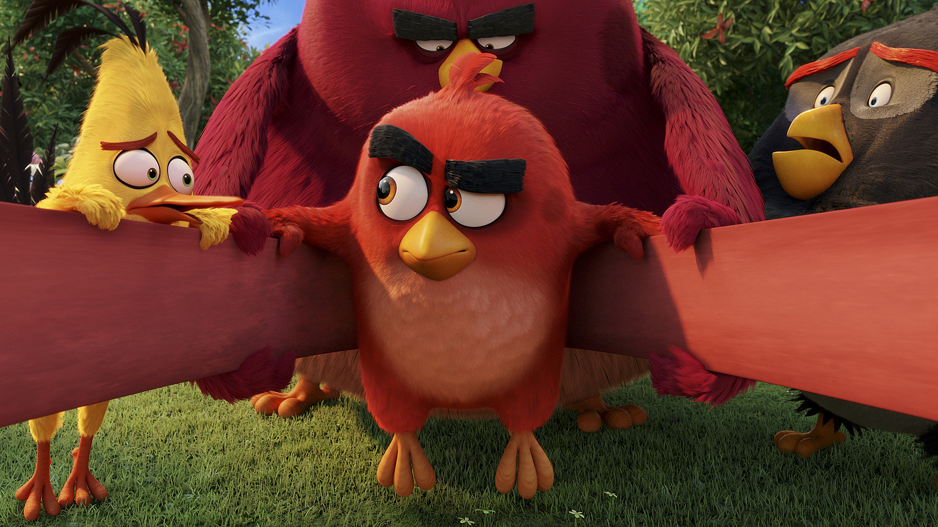 399212 descargar fondo de pantalla películas, angry birds: la película, angry birds: protectores de pantalla e imágenes gratis