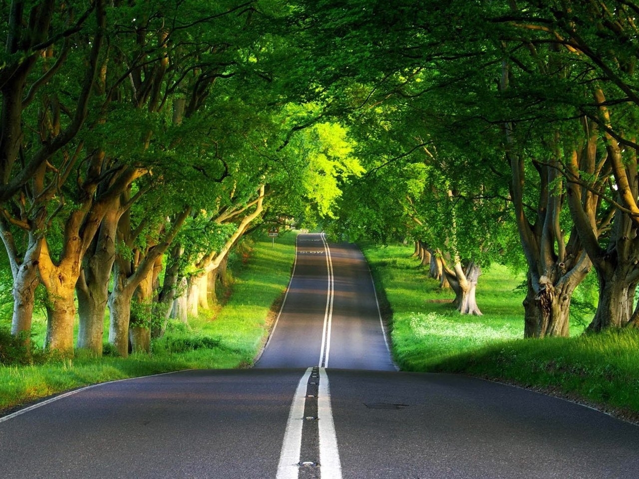 Download mobile wallpaper Landscape, Trees, Roads for free.