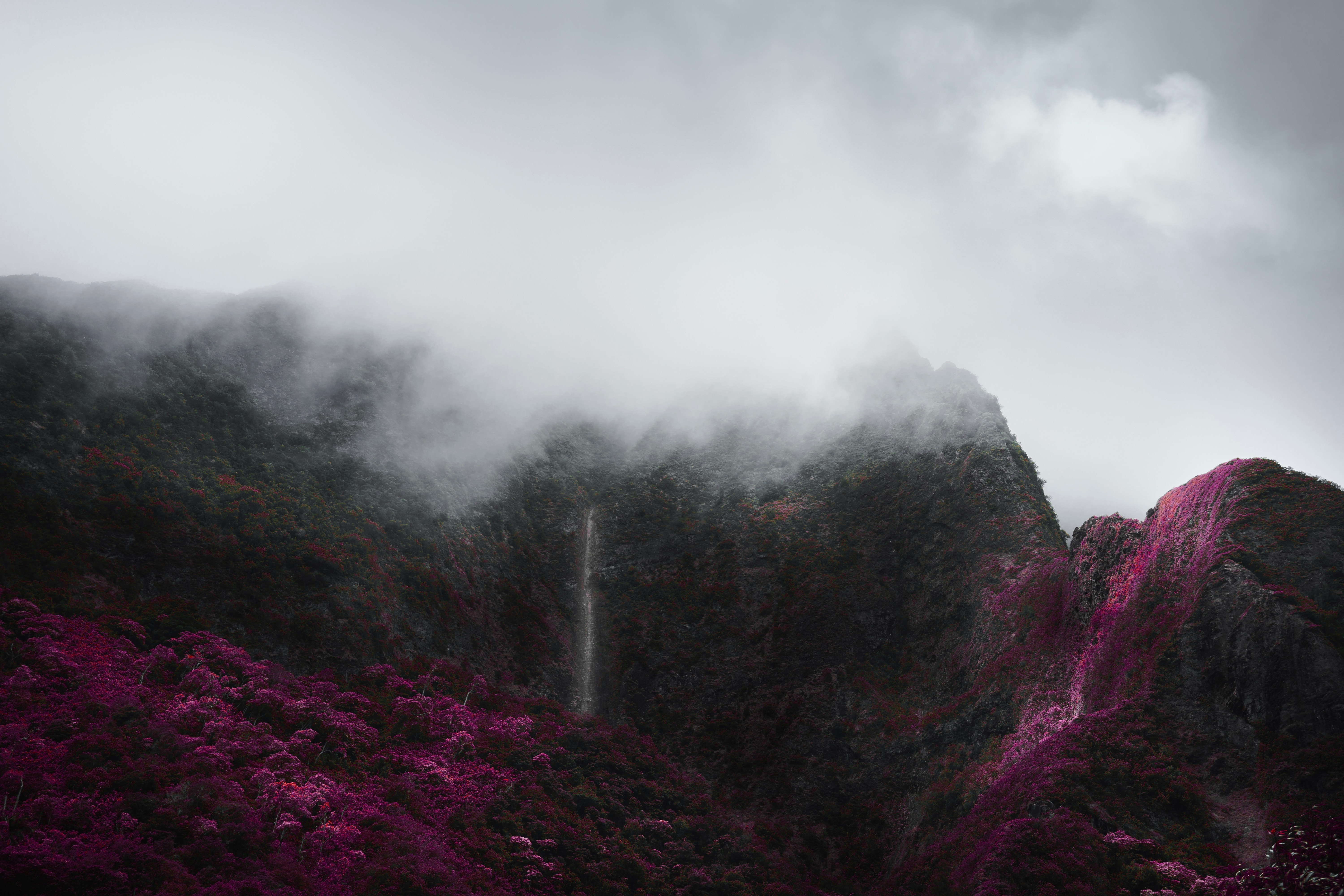 Fog mountains. Горы в тумане. Туманный пейзаж. Лес горы туман. Пейзаж горы туман.