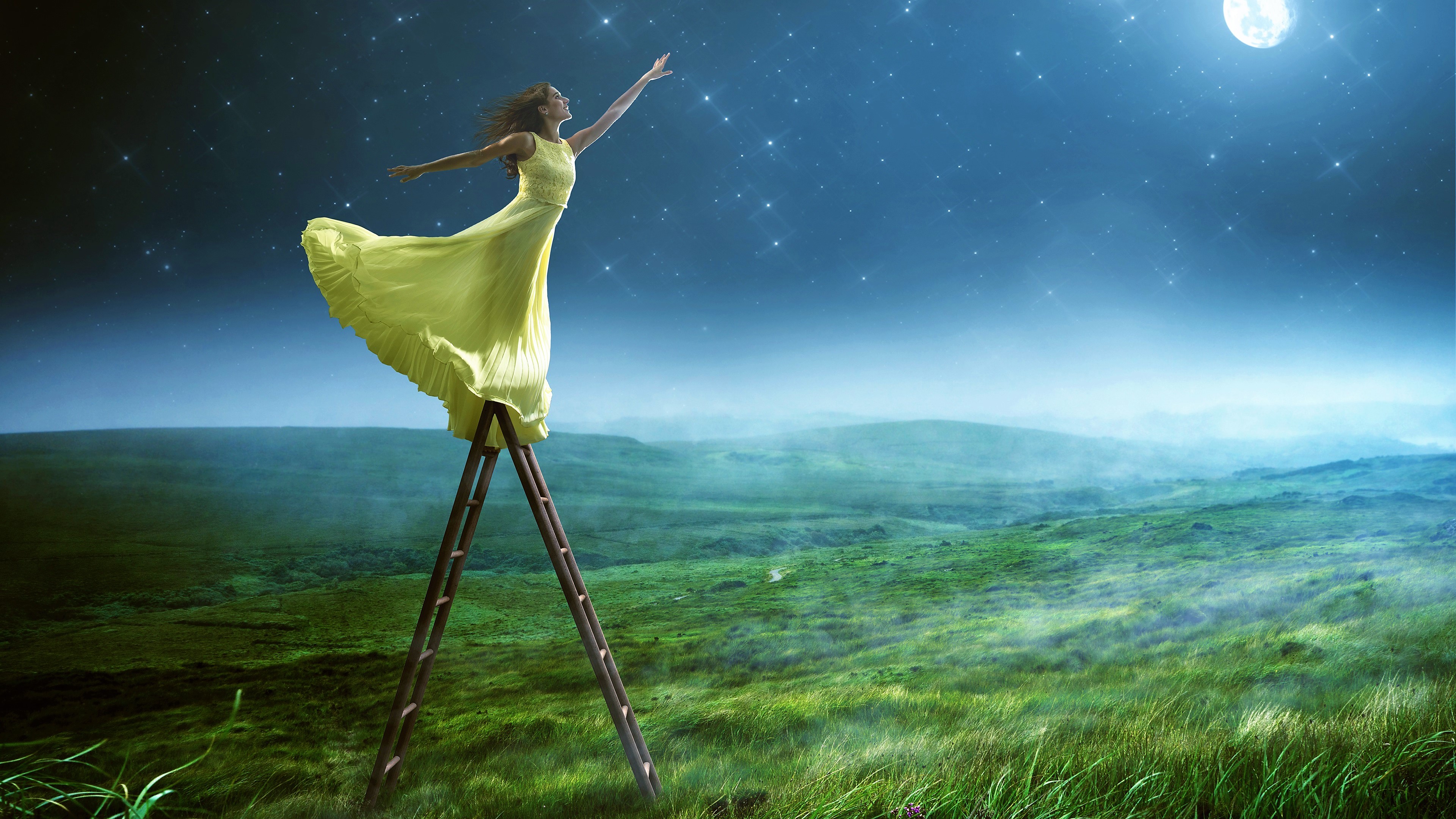 grass, artistic, fantasy, dress, ladder, moon for android