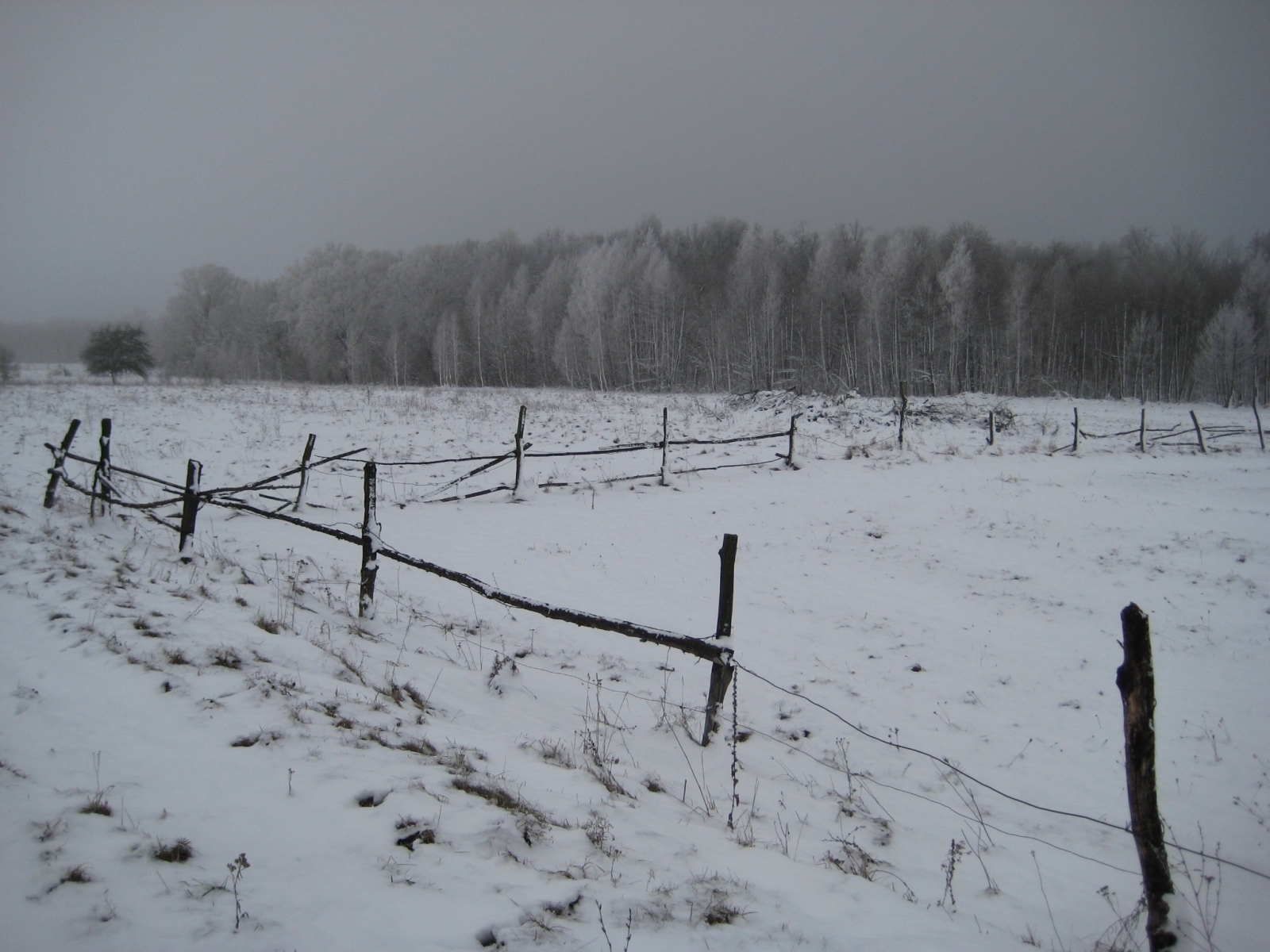Download mobile wallpaper Snow, Winter, Landscape for free.