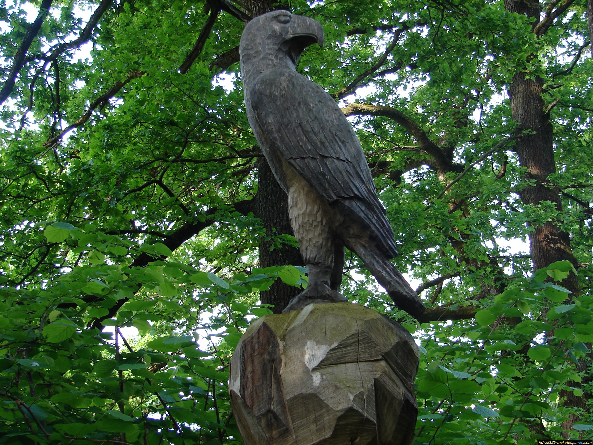 eagle, man made, sculpture, nature
