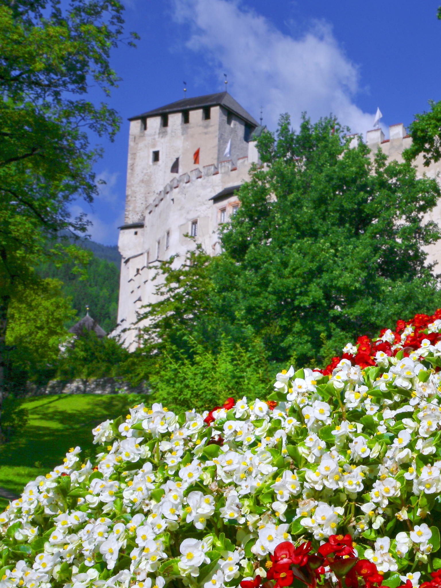 man made, flower, austria, spring, tyrol, purple flower, castle, white flower