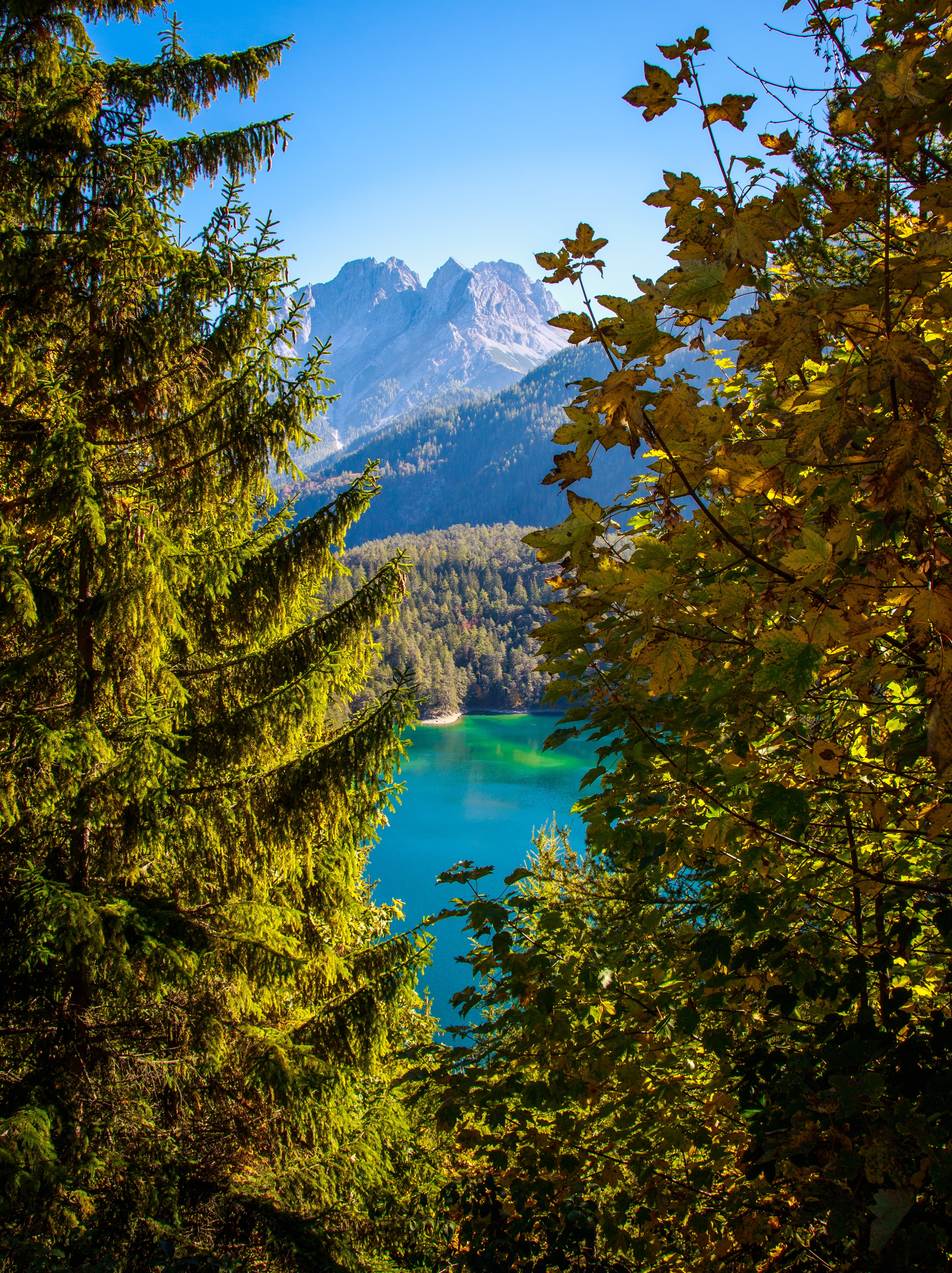 Download mobile wallpaper Tyrol, Branches, Nature, Mountains, Lake, Austria for free.