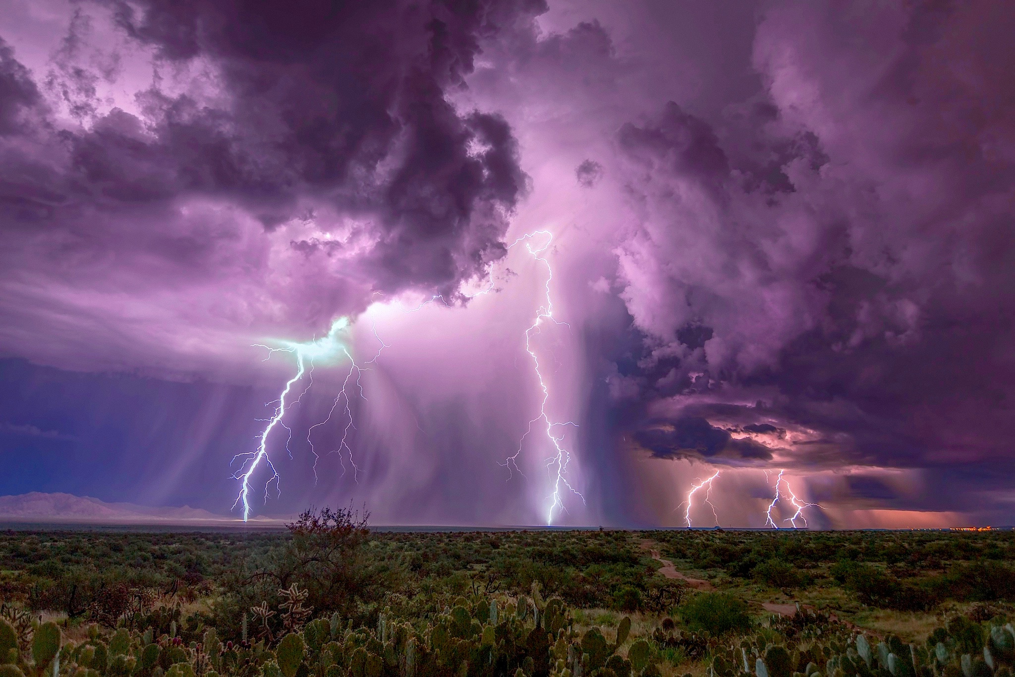 HD desktop wallpaper: Night, Lightning, Desert, Horizon, Cactus, Storm,  Cloud, Photography download free picture #886448