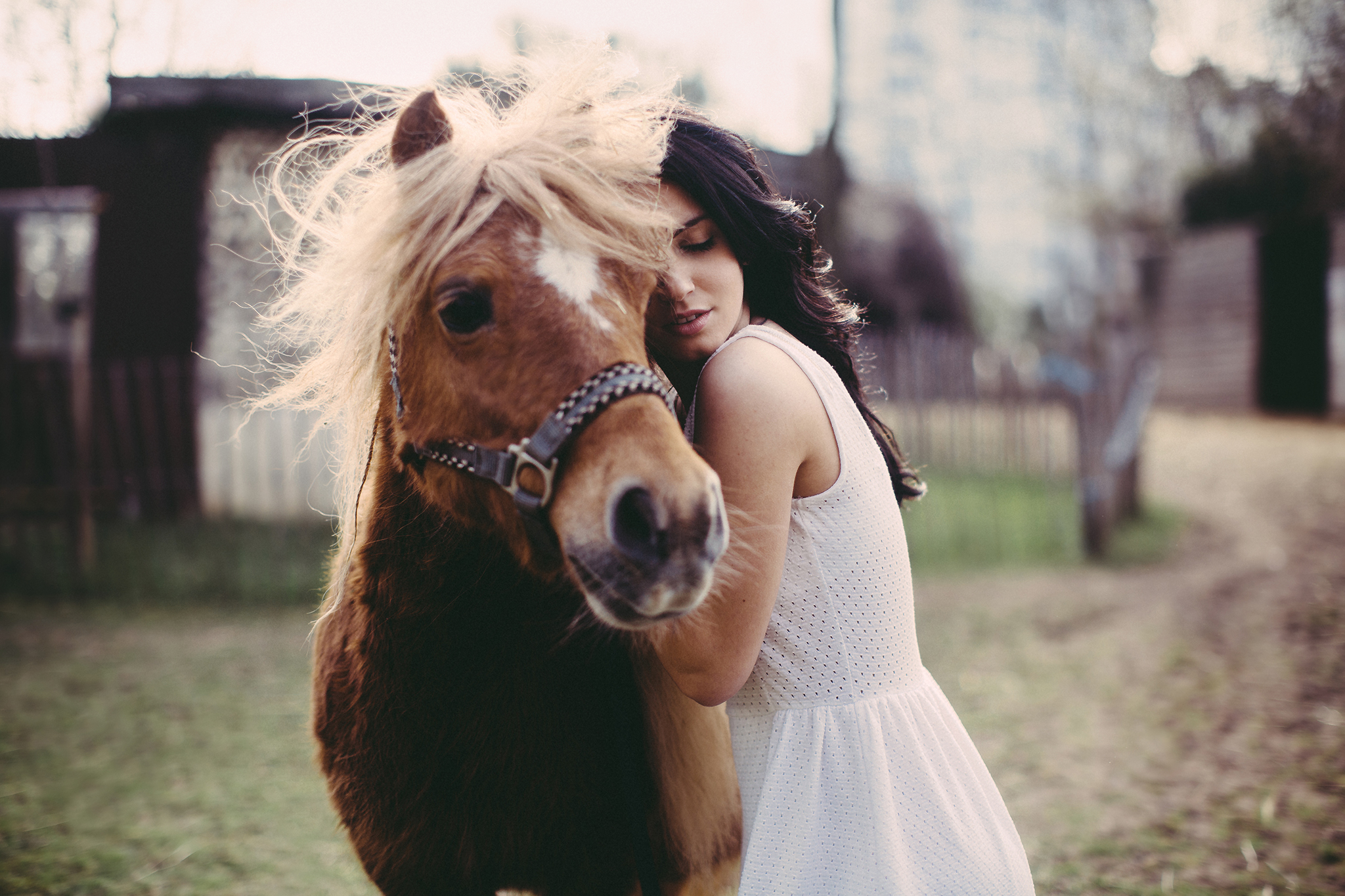 Девушка и лошадь фото на аву